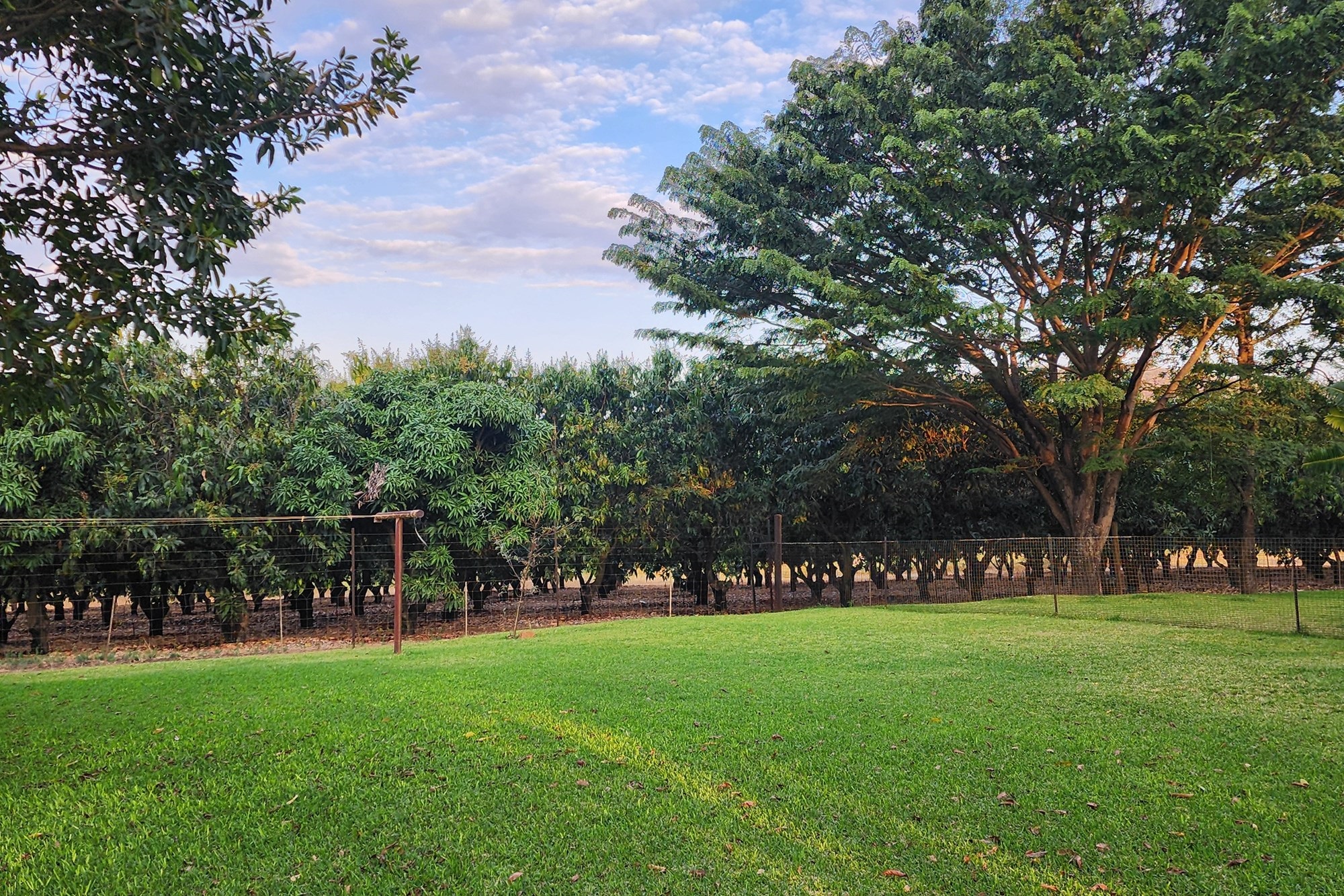 64 Ha irrigation farm in Tzaneen for sale