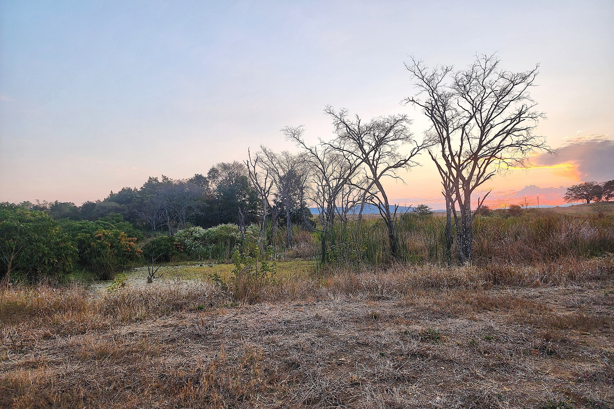 64 Ha irrigation farm in Tzaneen for sale