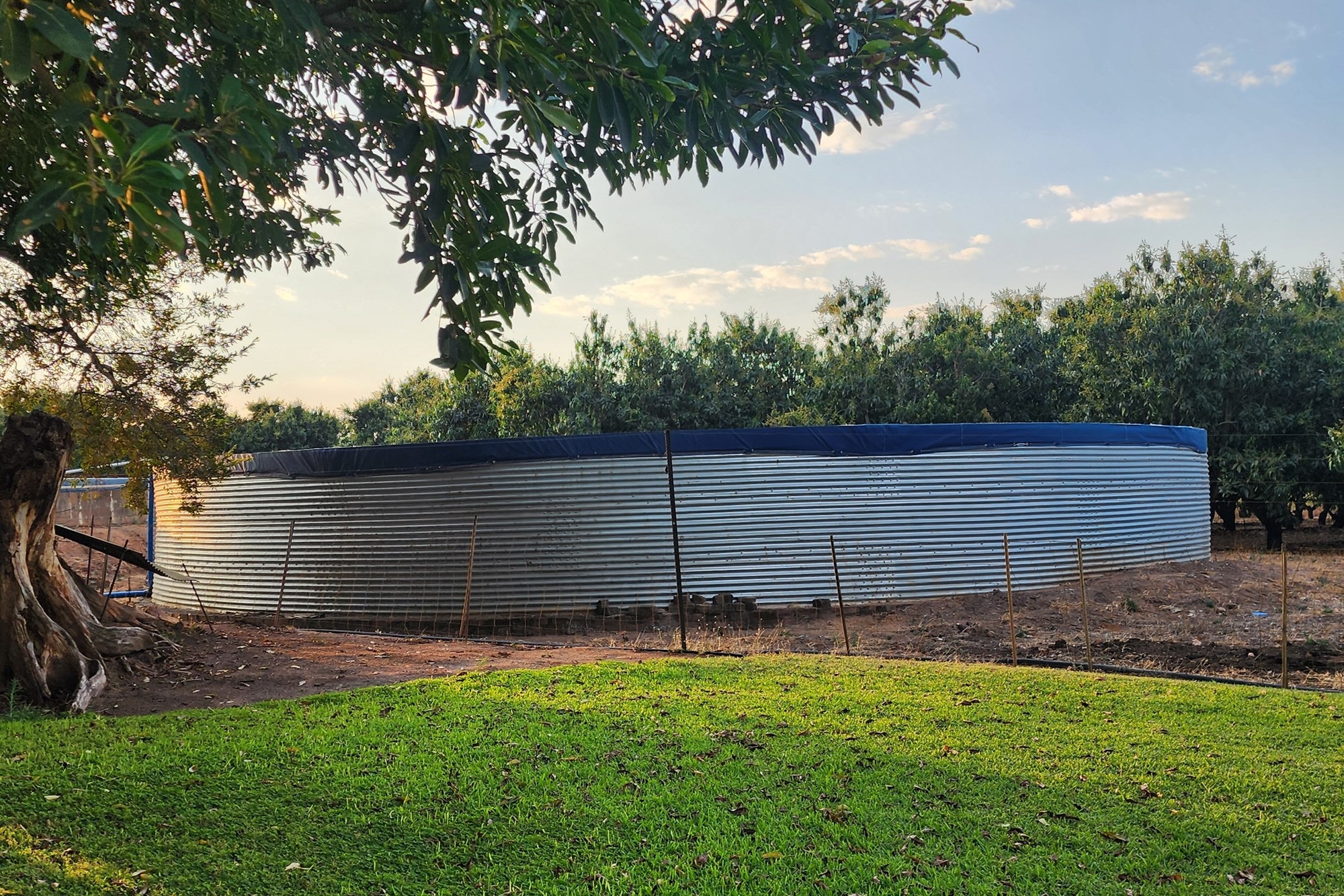 64 Ha irrigation farm in Tzaneen for sale