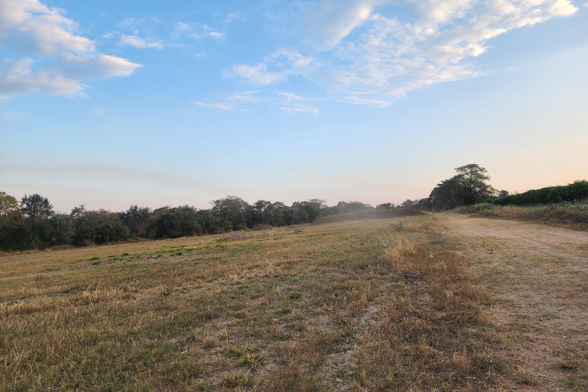 64 Ha irrigation farm in Tzaneen for sale