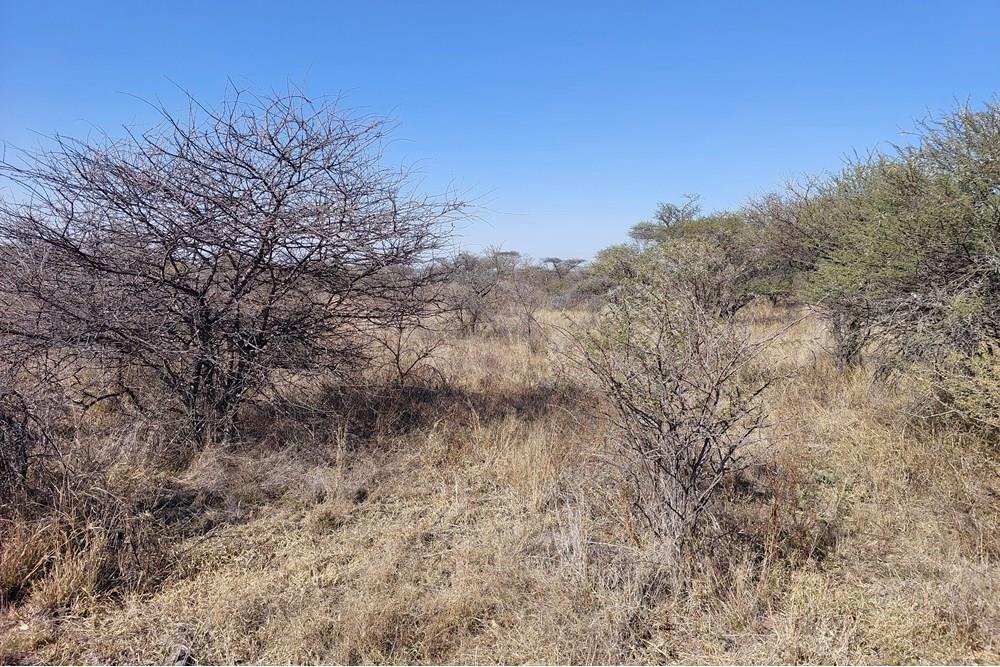 Restore your spirit. Land on an exquisite wildlife estate for sale between Bela Bela and Thabazimbi