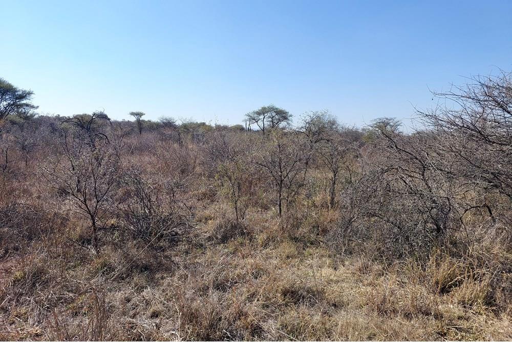 Restore your spirit. Land on an exquisite wildlife estate for sale between Bela Bela and Thabazimbi