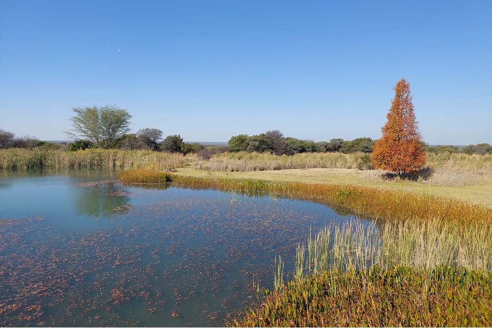 Restore your spirit. Land on an exquisite wildlife estate for sale between Bela Bela and Thabazimbi