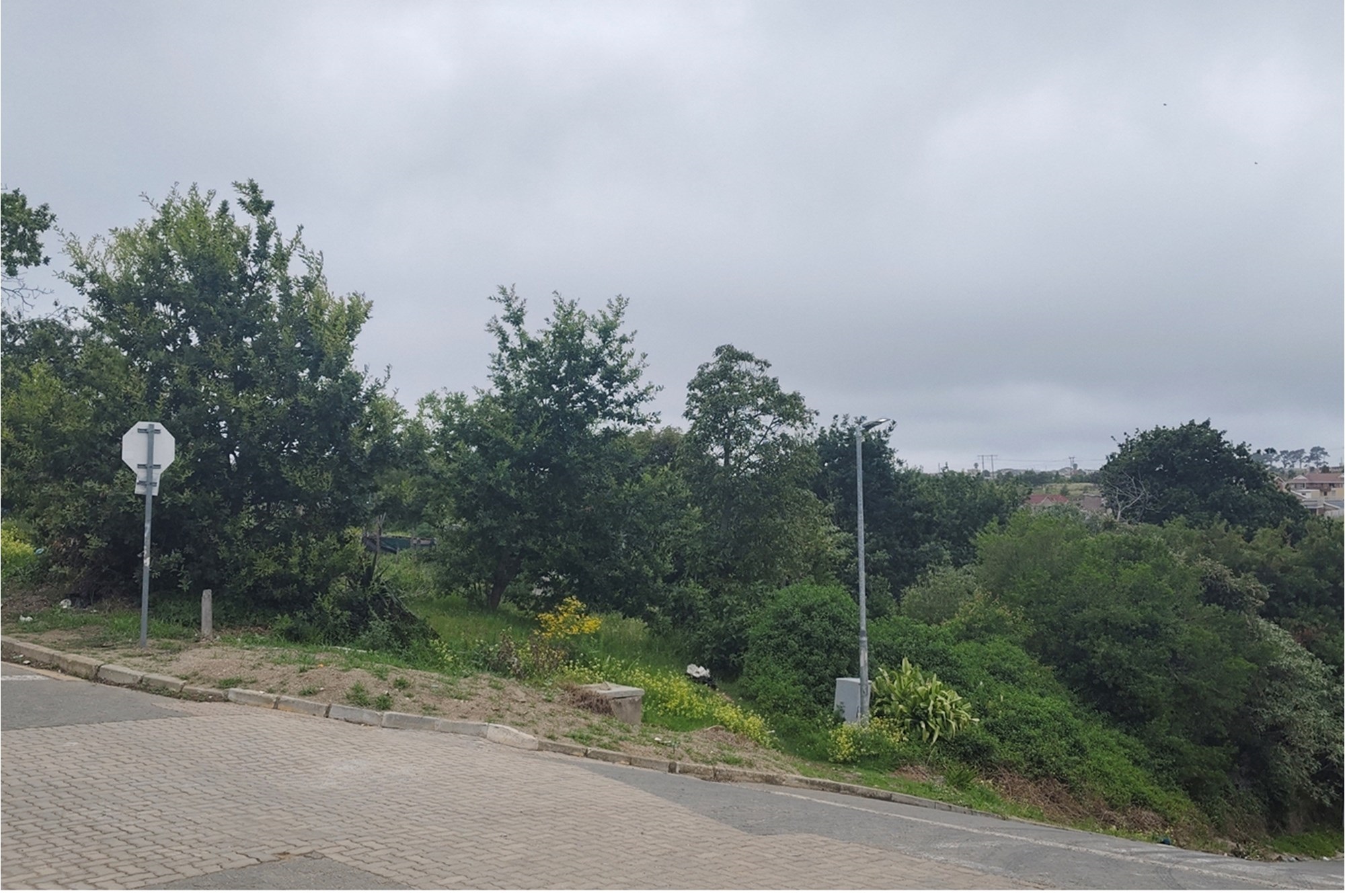 Prime Vacant Land Opportunity in Pacaltsdorp - Endless Potential!