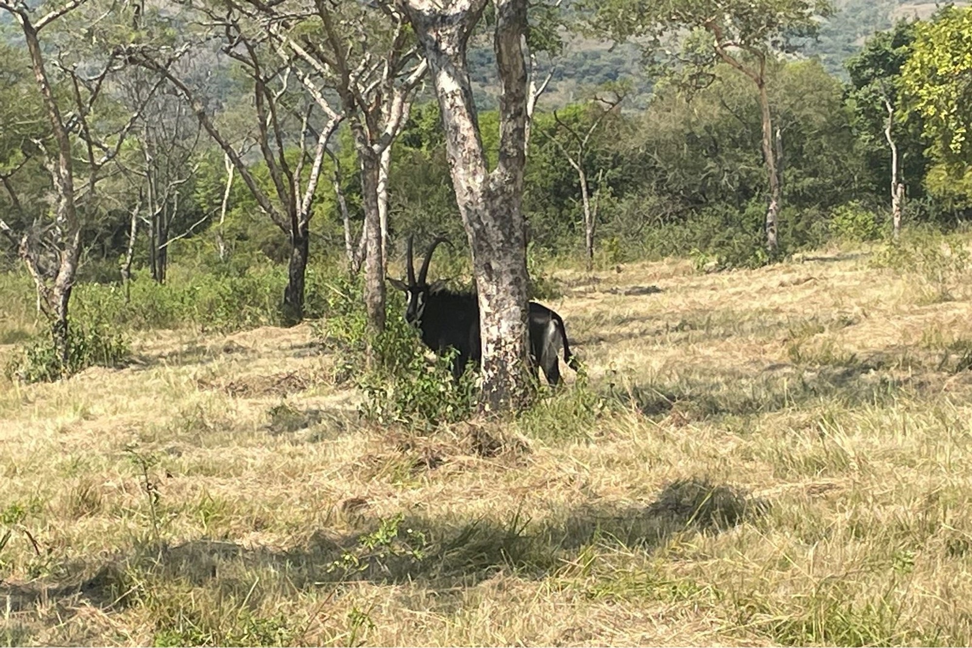House For Sale in Nelspruit Rural, Nelspruit