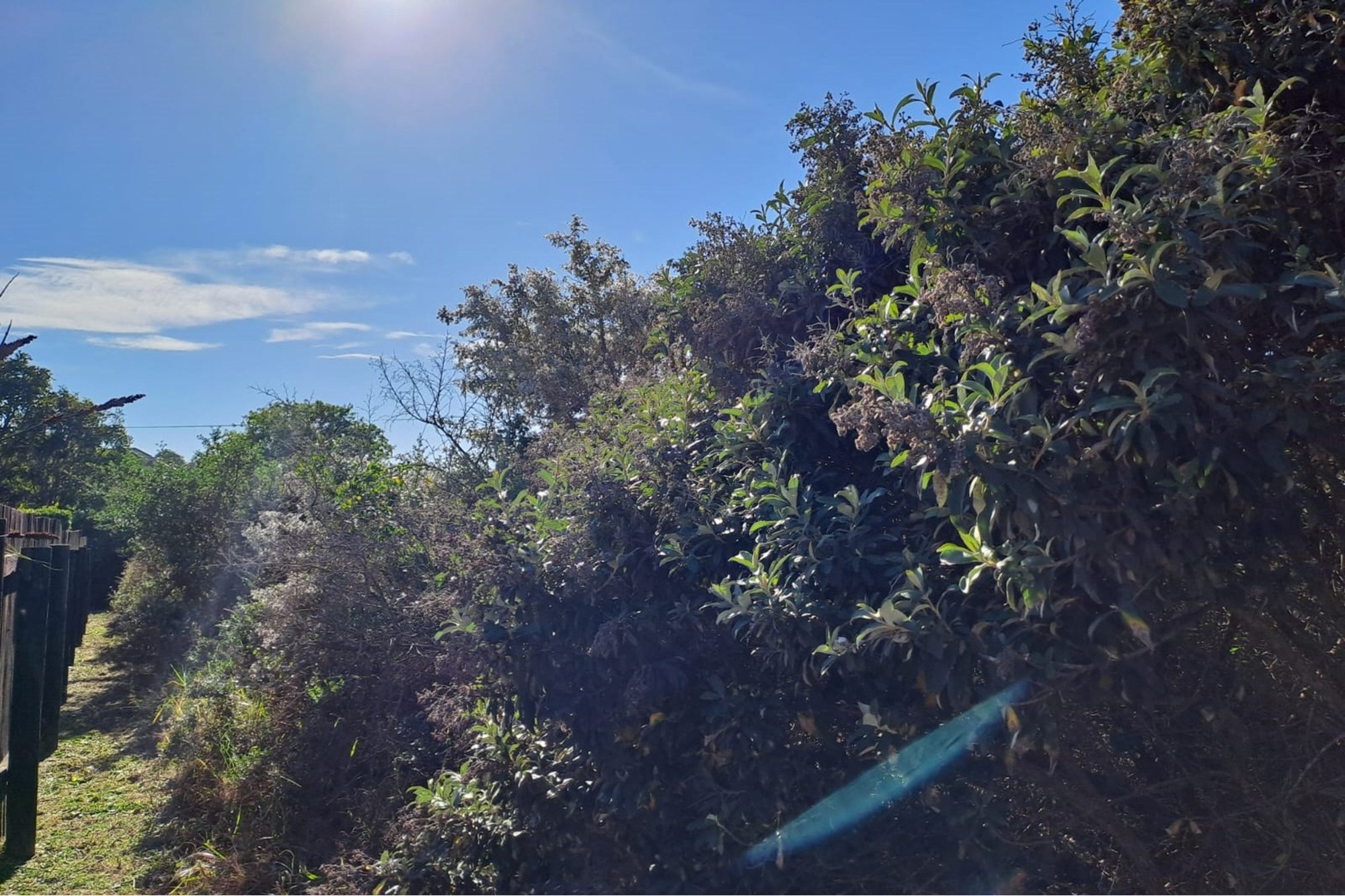 Vacant Land for sale in Aston Bay, Jeffreys Bay, 567 m²