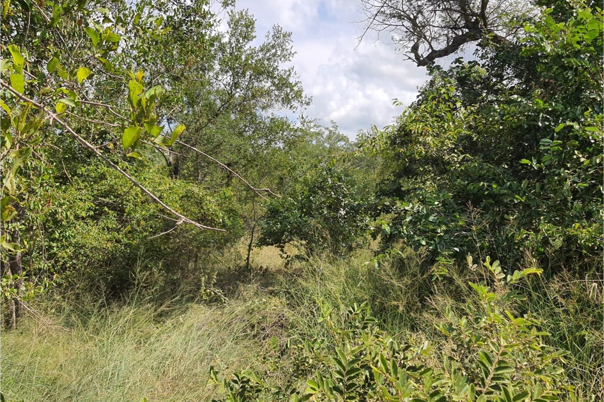 Vacant Land for sale in Moditlo Nature Reserve, Hoedspruit, 9170 m²