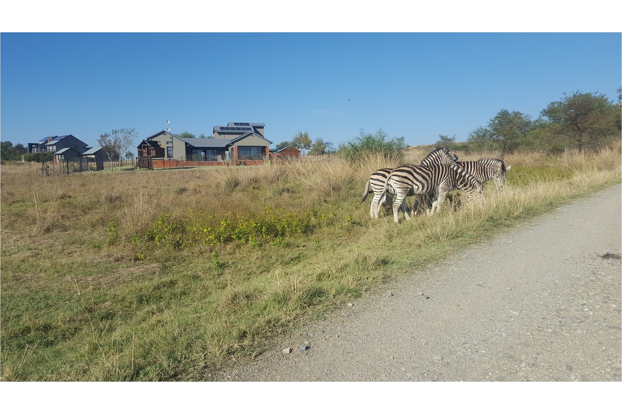 Vacant Land for Sale in Popular Letamo Game Farm situated in Cradle of Humankind 3