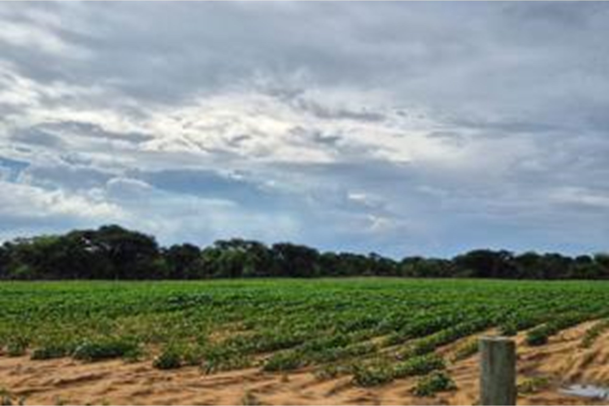 Farm for sale in Hoopstad, 818800 m²