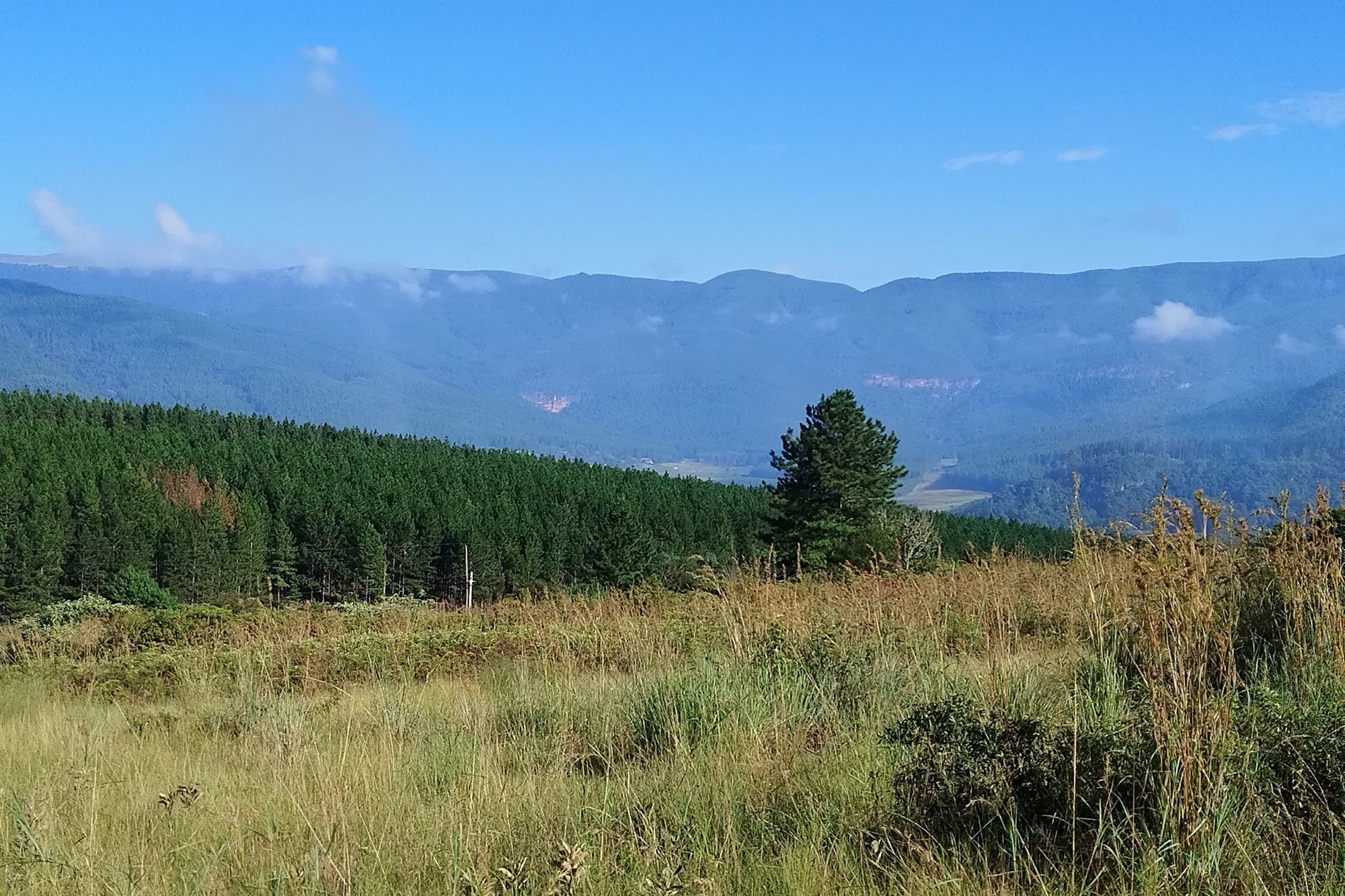 Vacant Land for sale in Sabie Ext 9, Sabie, 1440 m²