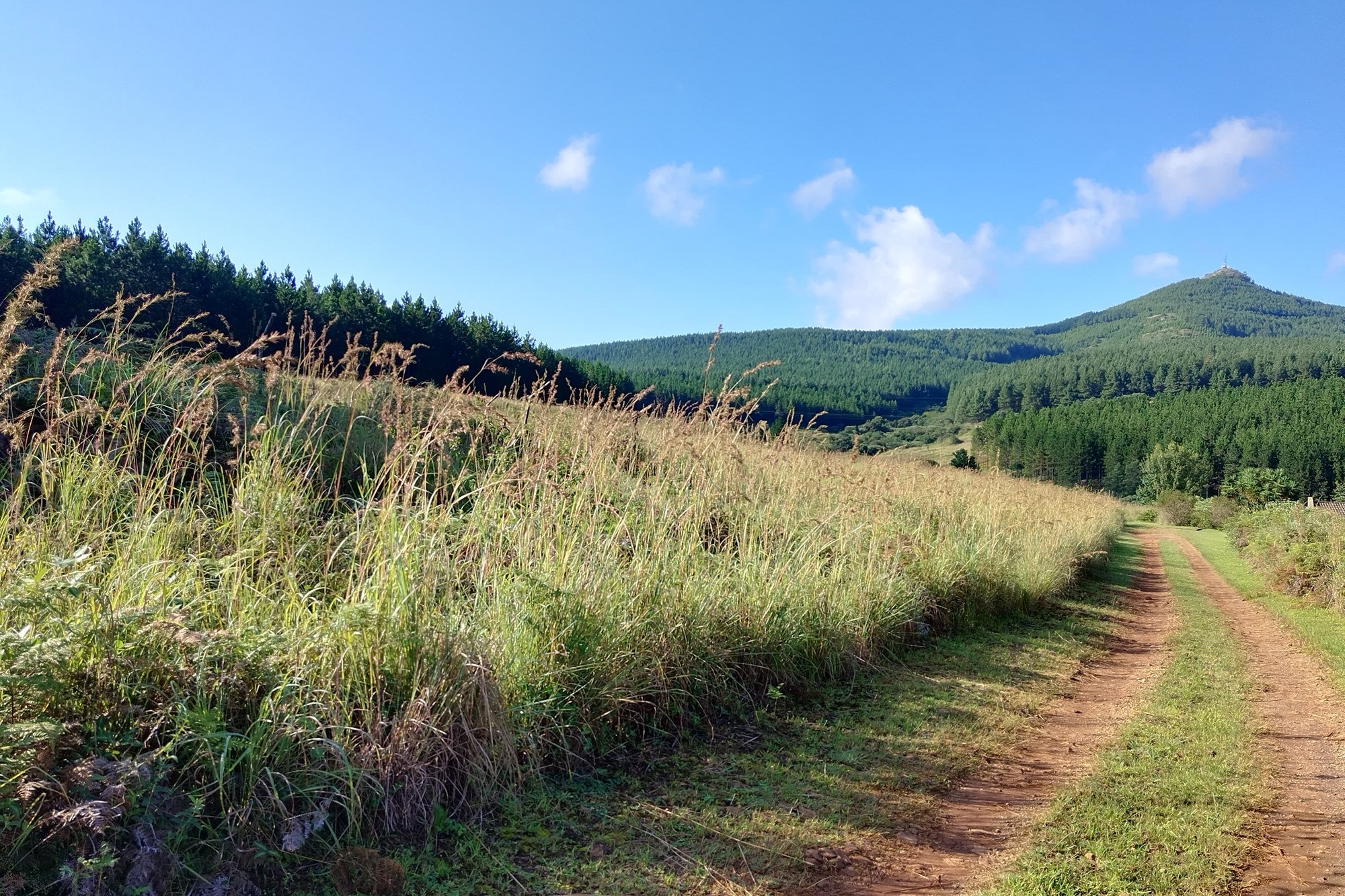 Vacant Land for sale in Sabie Ext 9, Sabie, 1440 m²