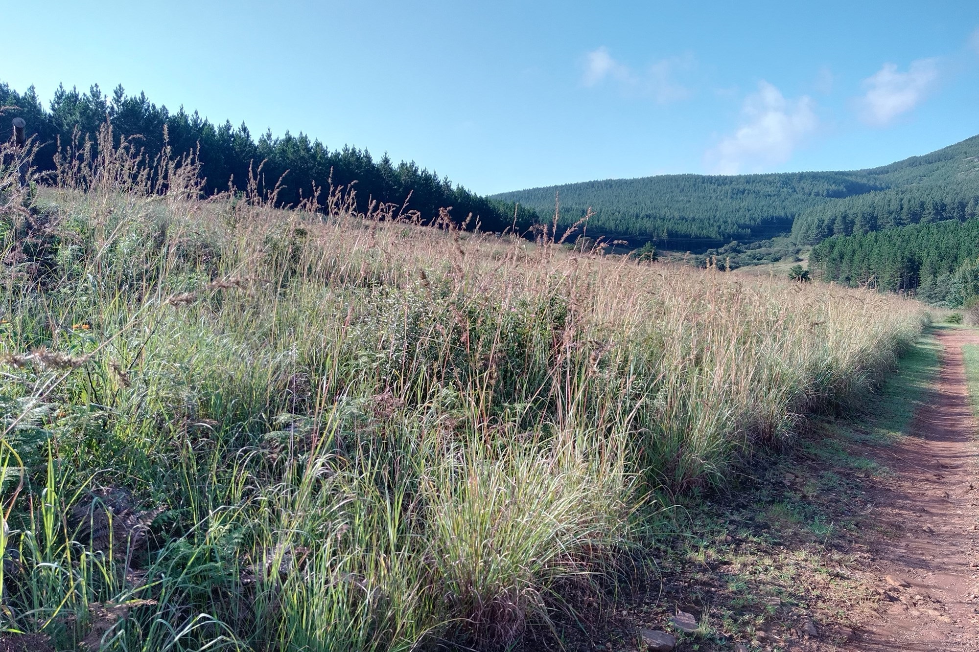 Vacant Land for sale in Sabie Ext 9, Sabie, 1440 m²