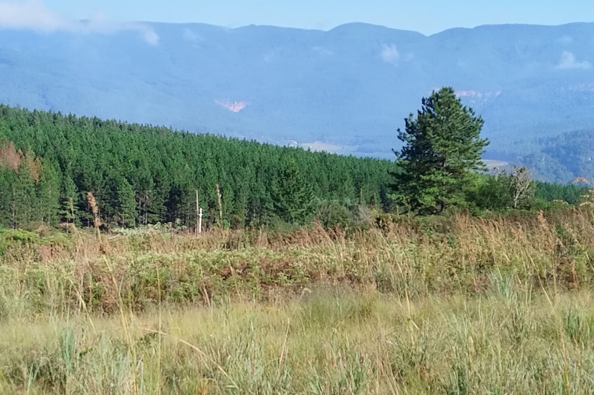 Vacant Land for sale in Sabie Ext 9, Sabie, 1440 m²