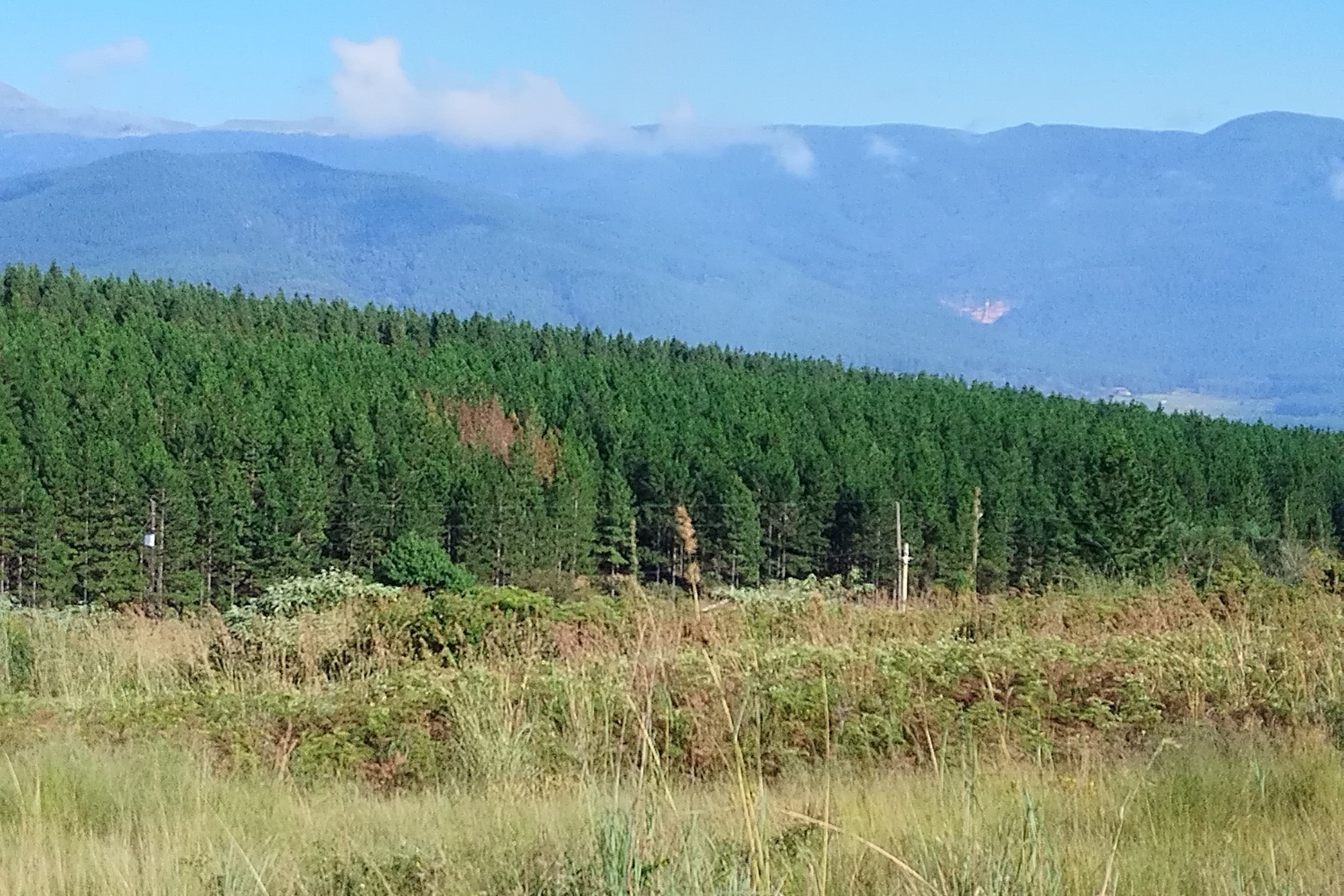 Vacant Land for sale in Sabie Ext 9, Sabie, 1440 m²