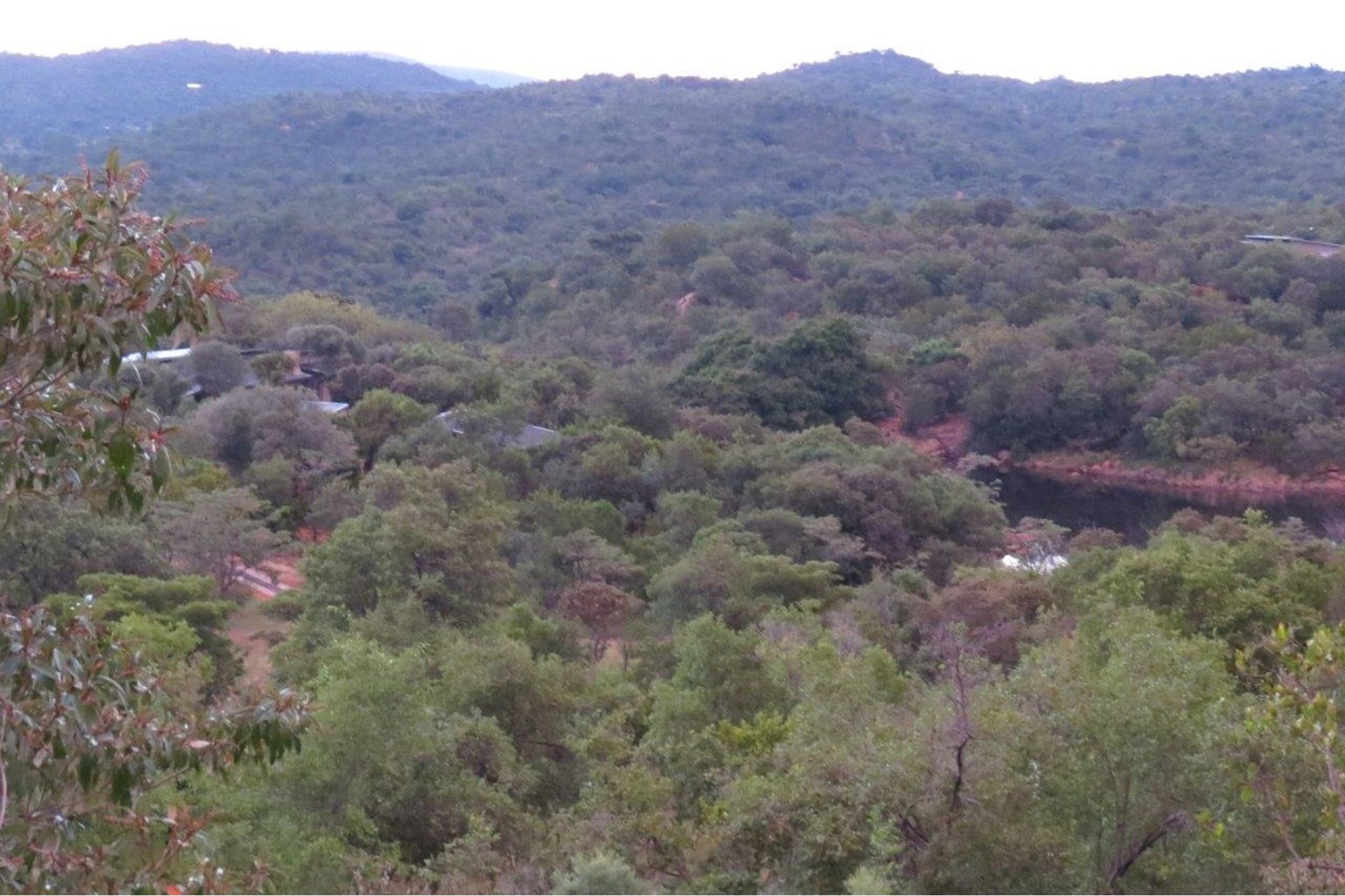 Vacant Land for sale in Zwartkloof Private Game Reserve, Bela Bela, 2500 m²