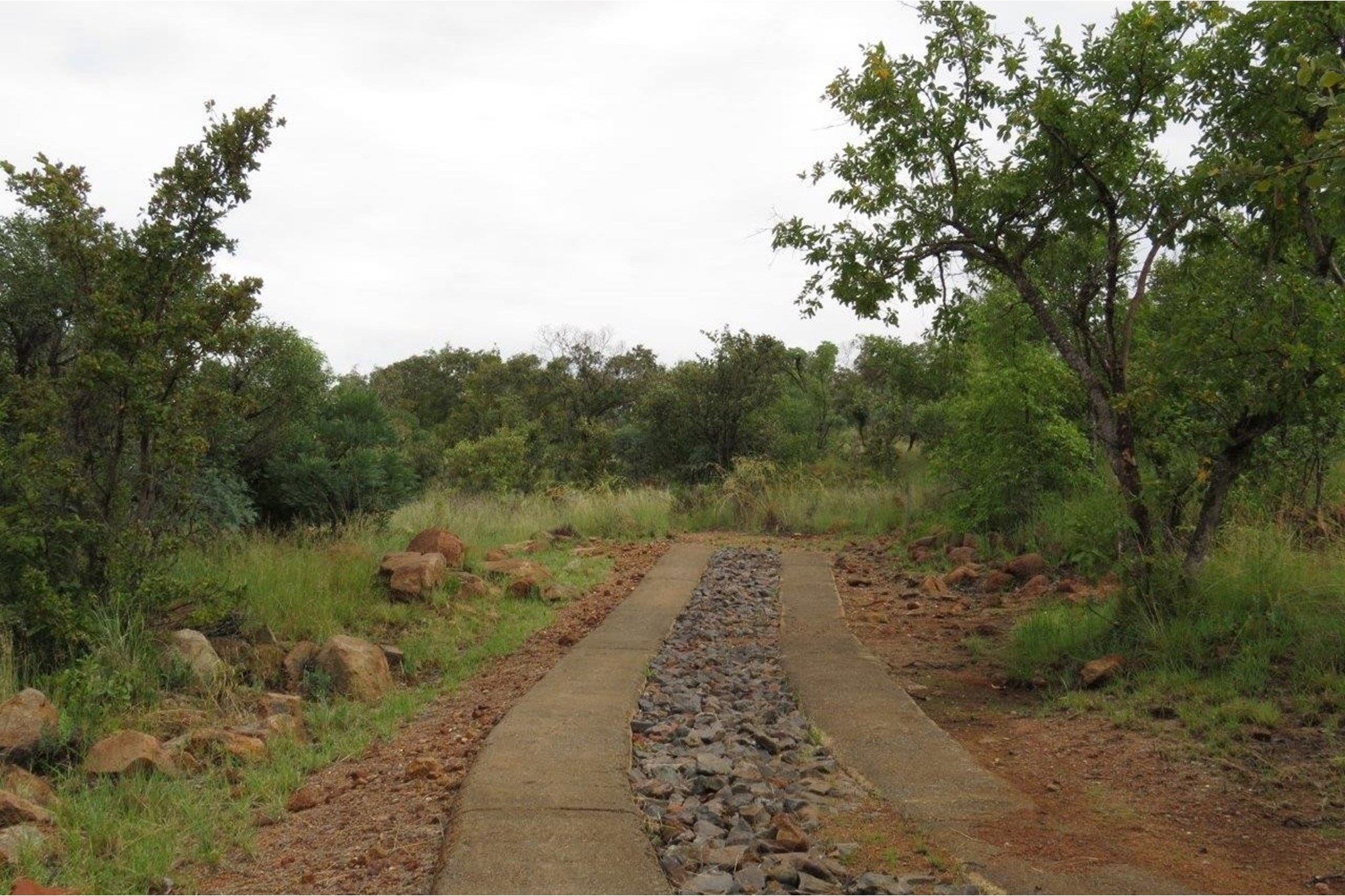 Vacant Land for sale in Zwartkloof Private Game Reserve, Bela Bela, 2500 m²