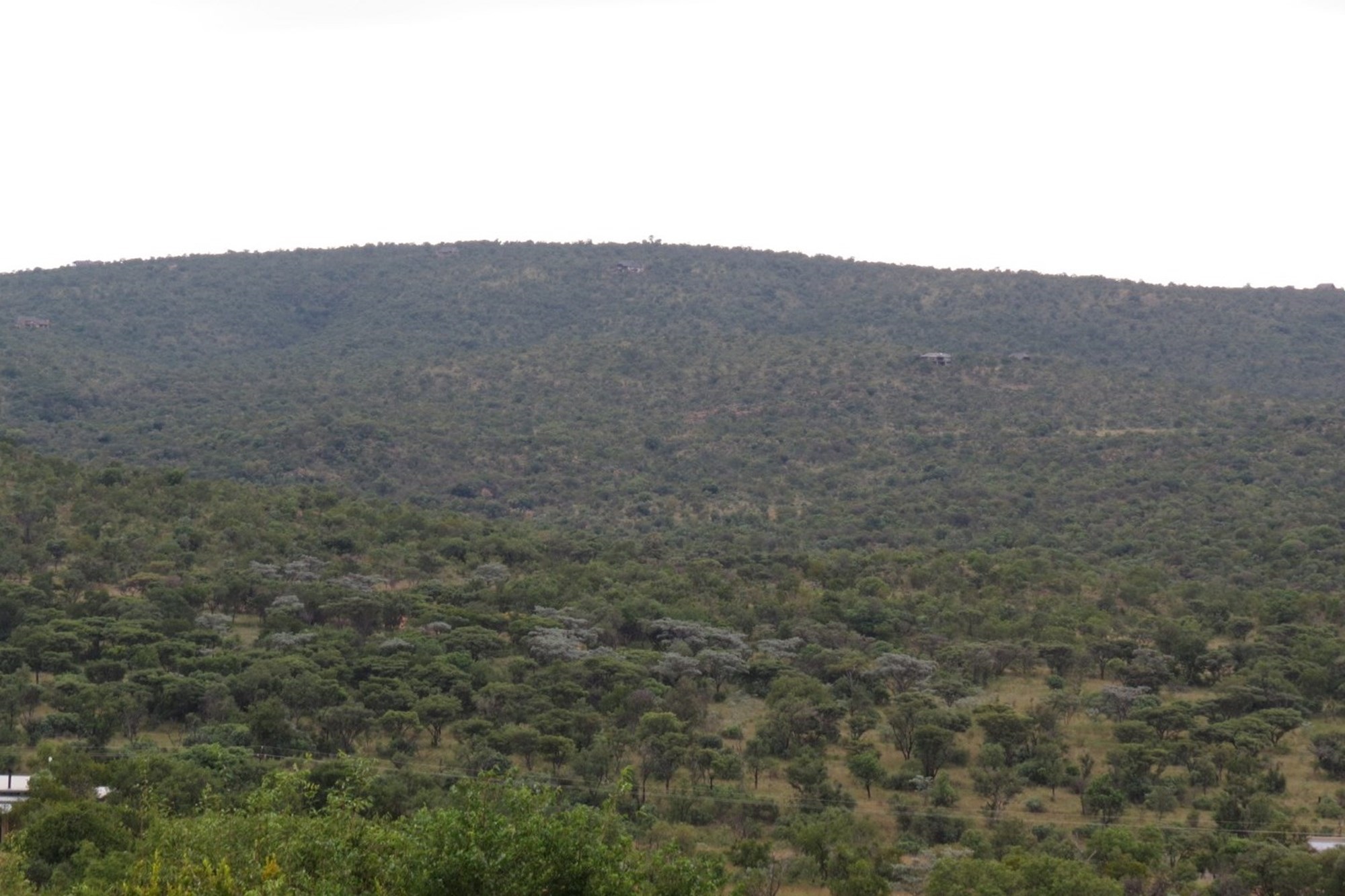 Vacant Land for sale in Zwartkloof Private Game Reserve, Bela Bela, 2500 m²