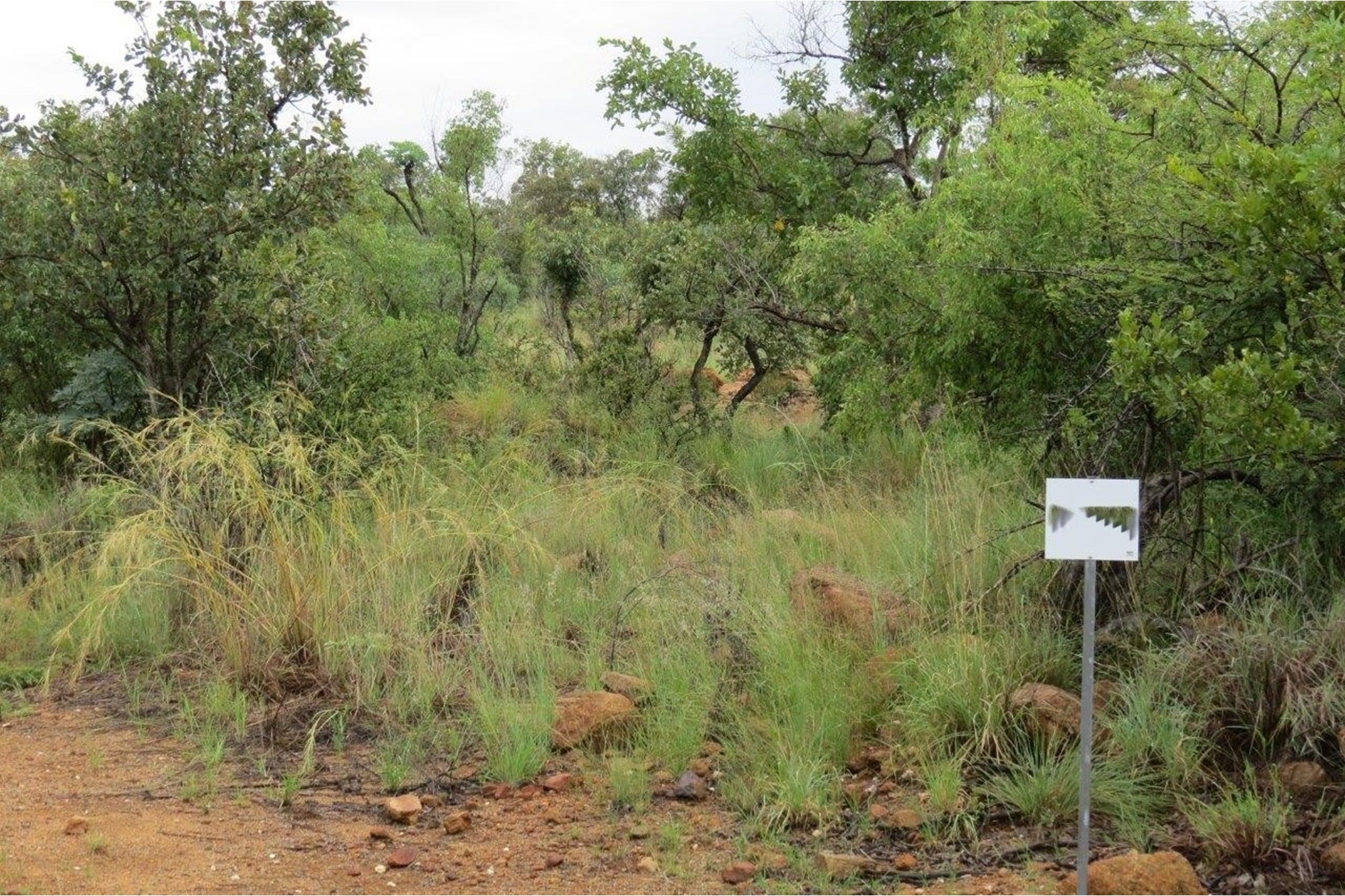 Vacant Land for sale in Zwartkloof Private Game Reserve, Bela Bela, 2500 m²