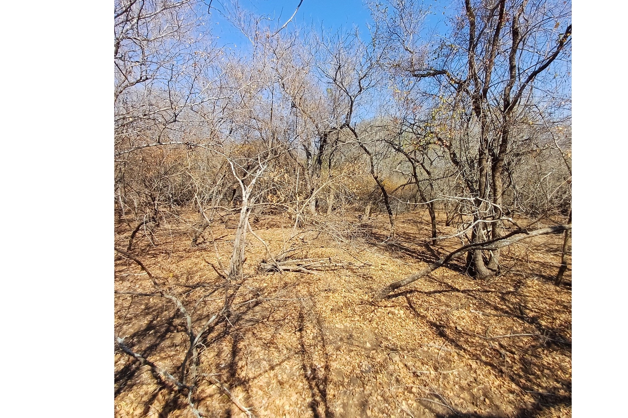 Vacant Land for sale in Marloth Park, 2346 m²