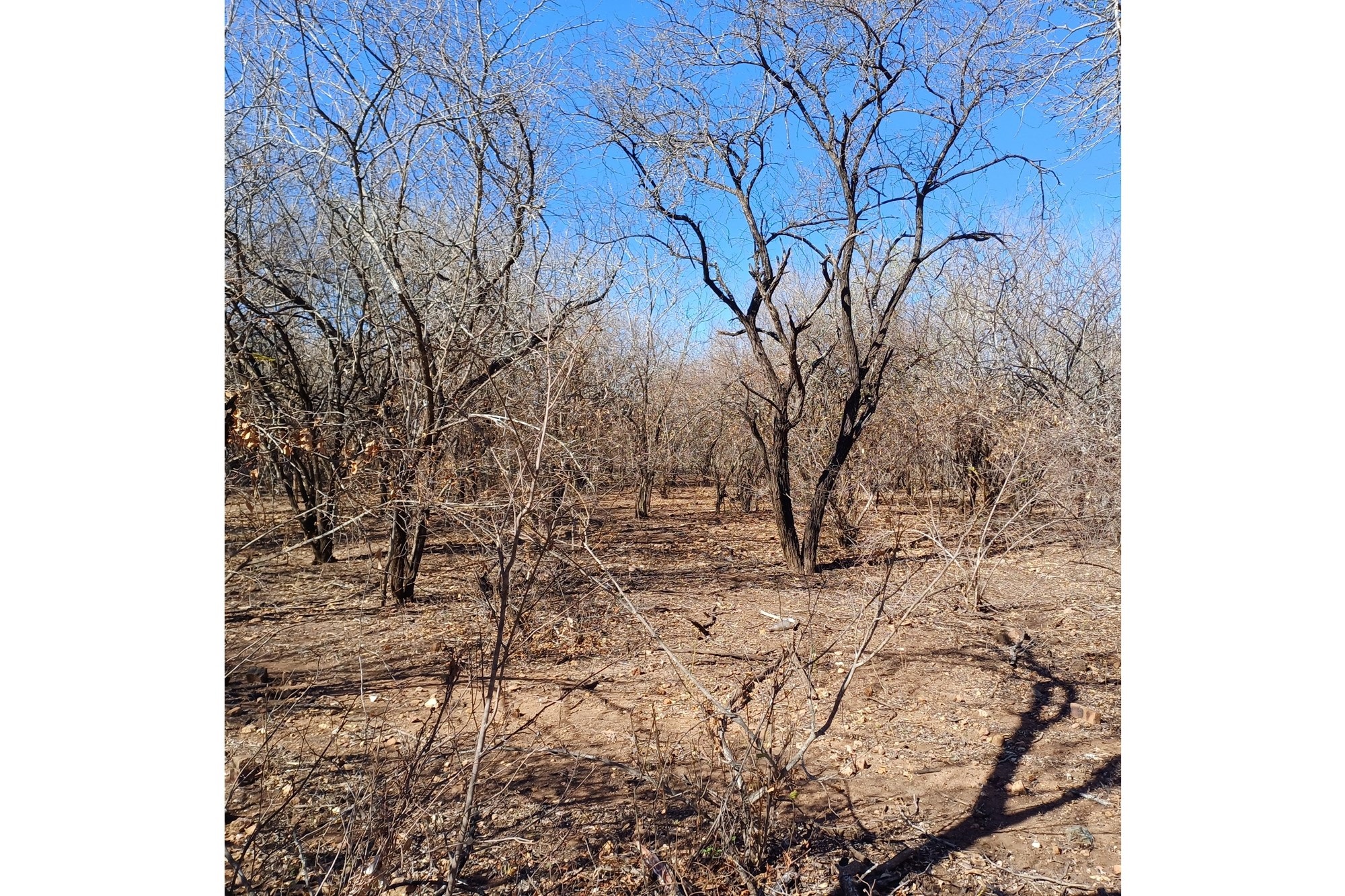 Vacant Land for sale in Marloth Park, 2346 m²