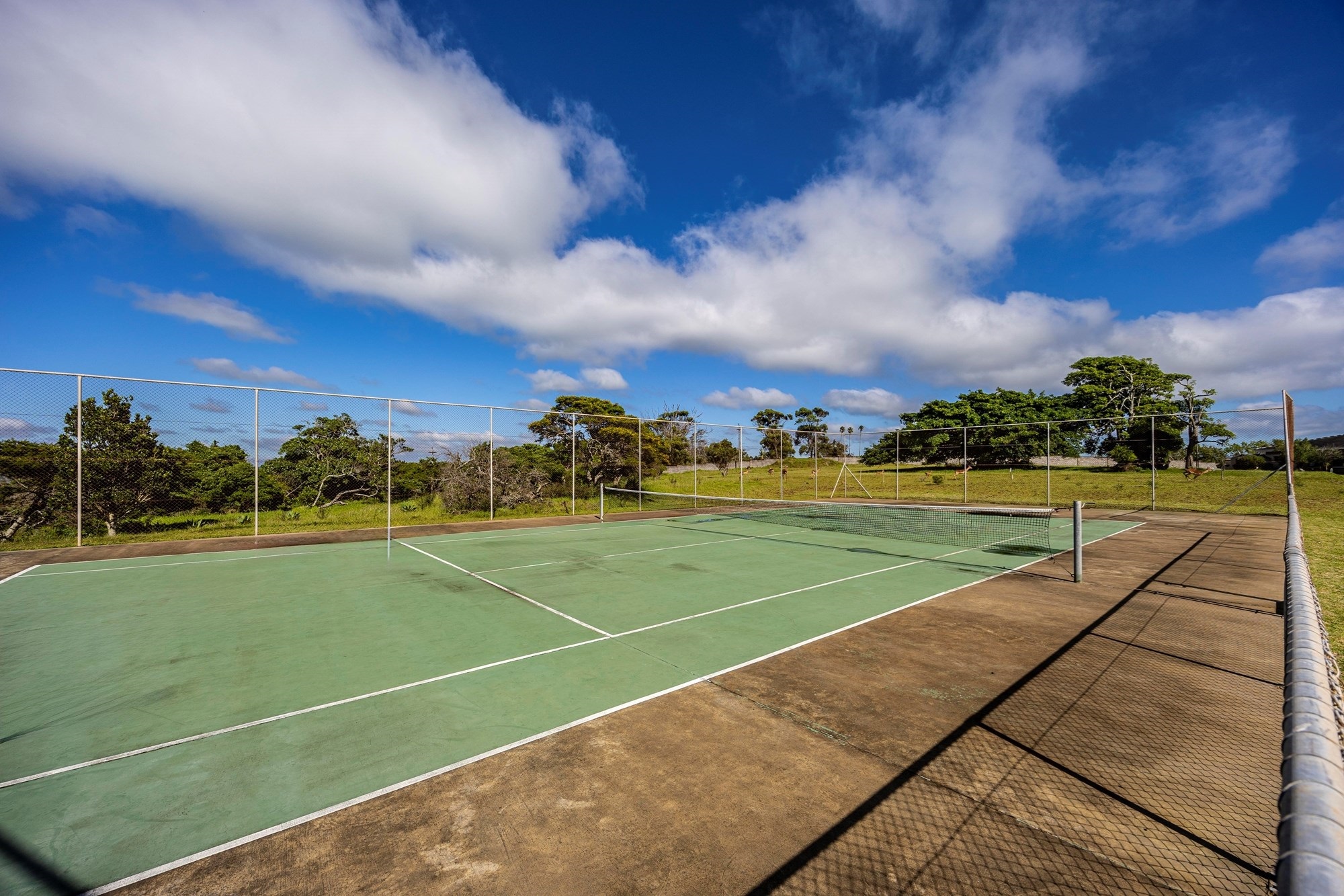 Discover the Ultimate Coastal Living at Cypraea Sands Estate 5