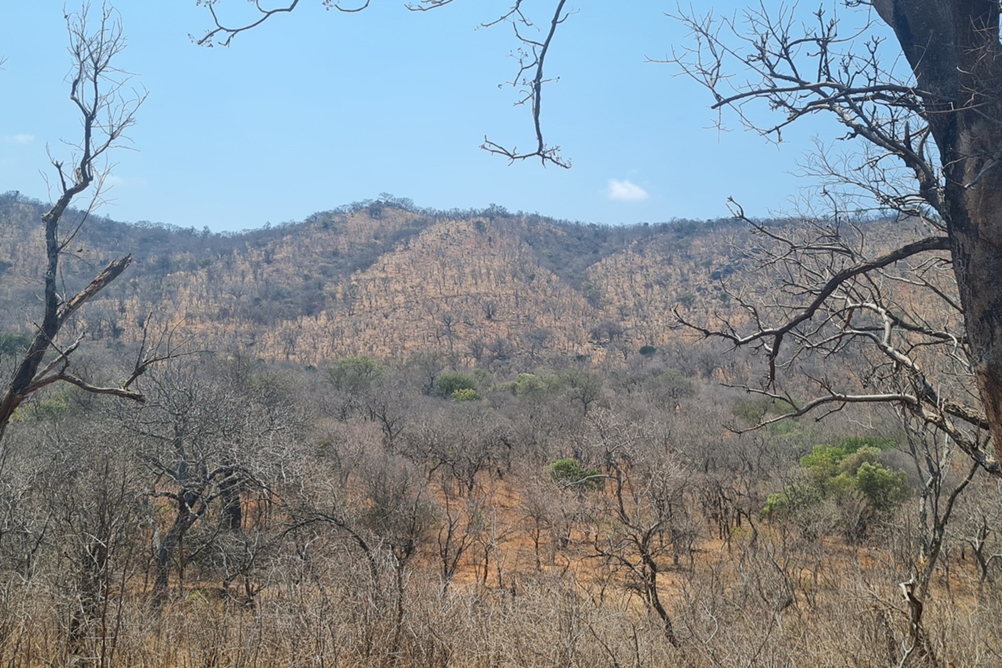 Farm for sale in Modjadjiskloof