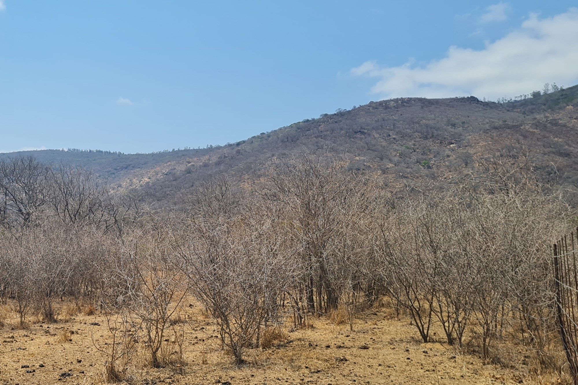Farm for sale in Modjadjiskloof