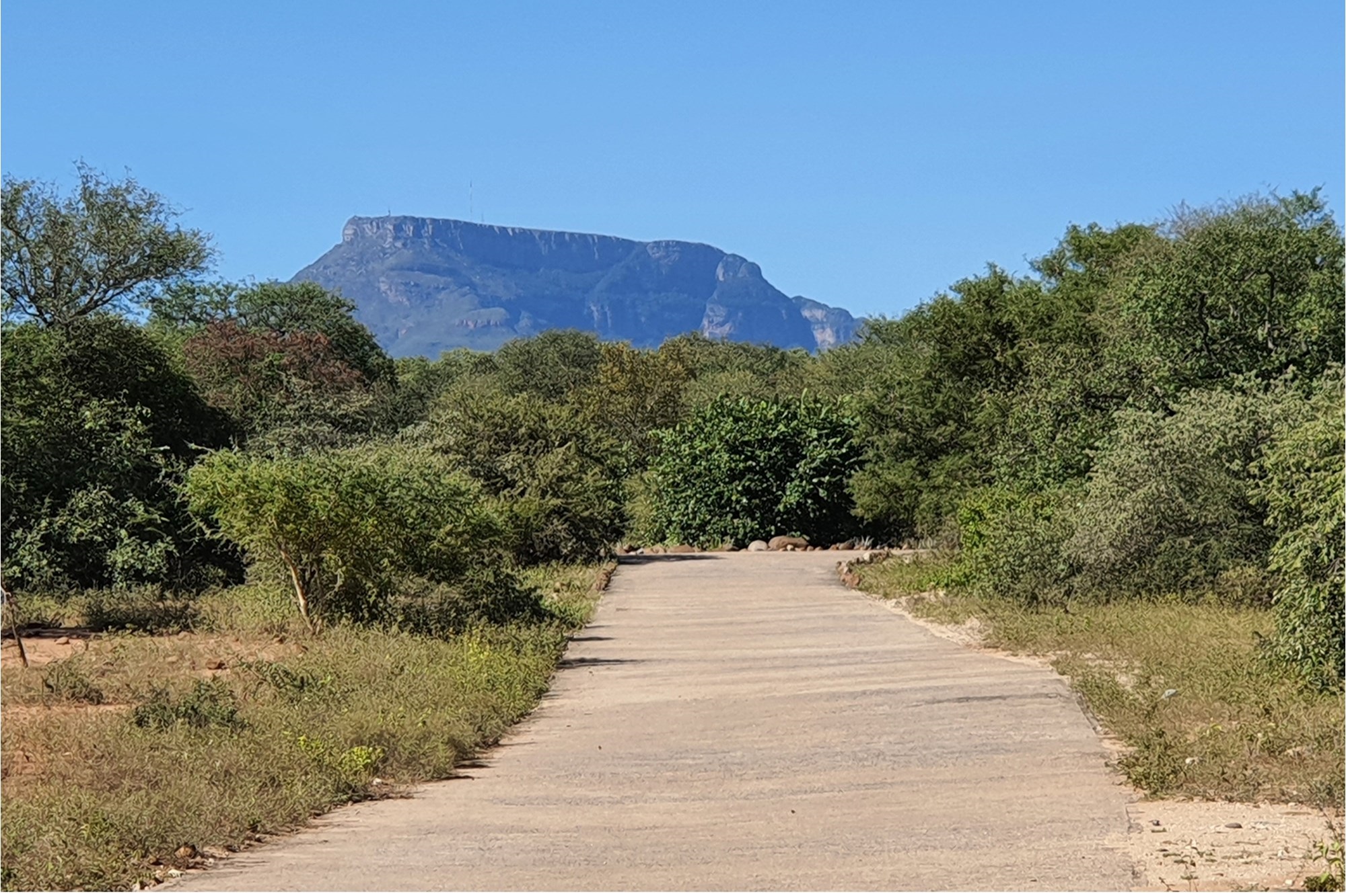 House for sale in Blyde Wildlife Estate, Hoedspruit, 320 m²