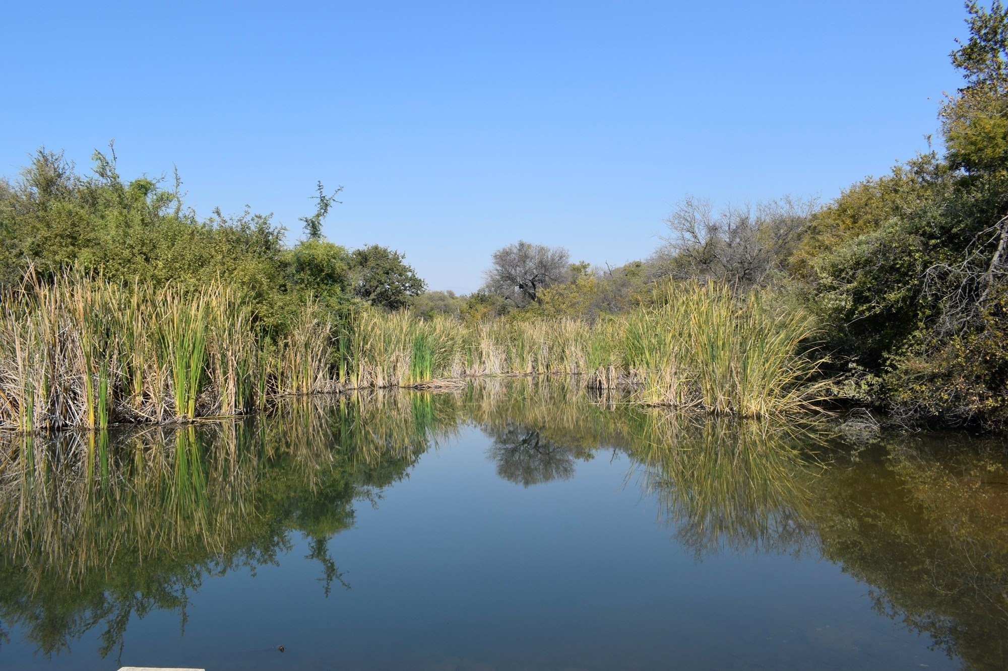 House for sale in Blyde Wildlife Estate, Hoedspruit, 320 m²