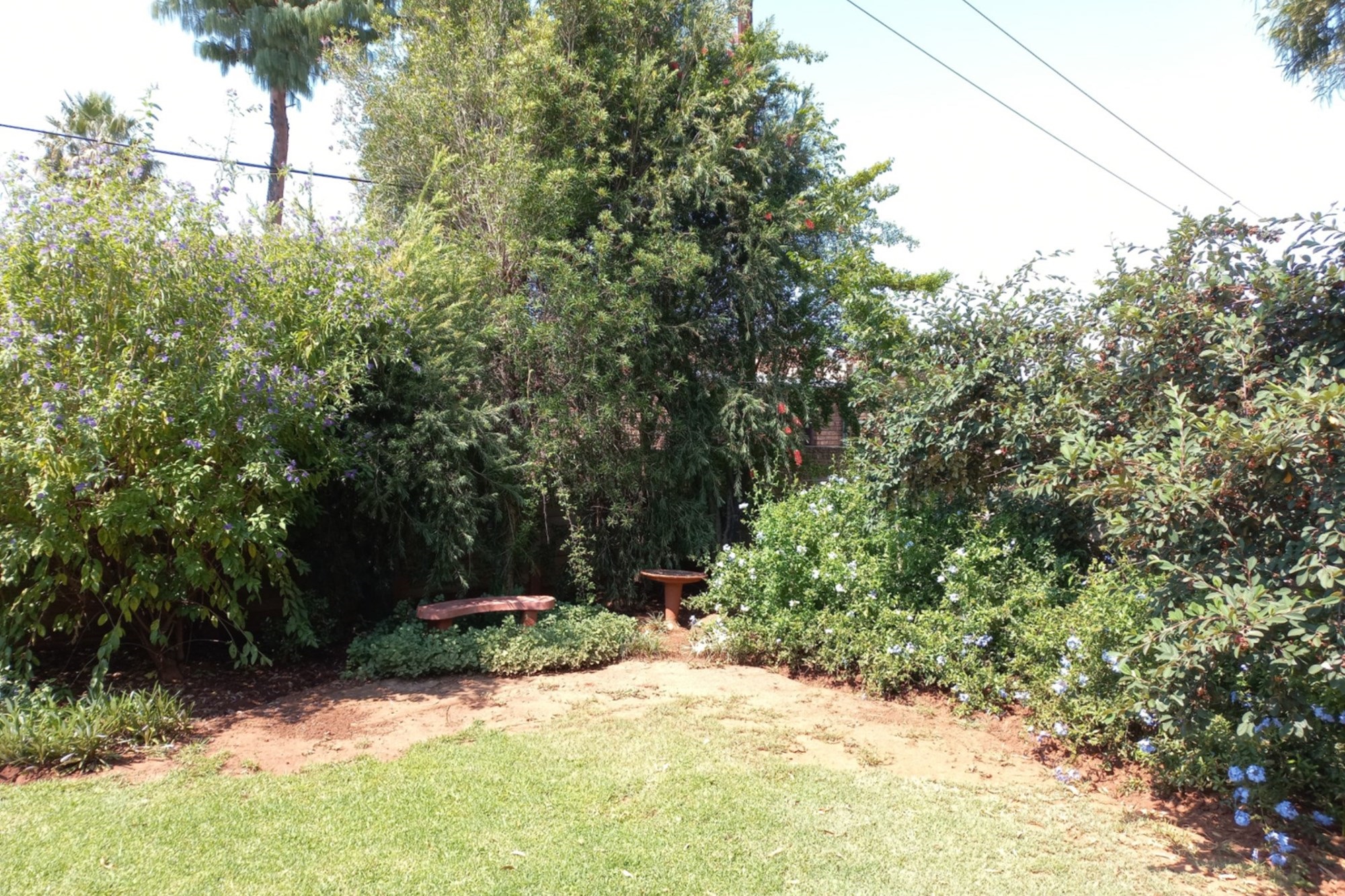 Charming Low Maintenance Family Home - Wheelchair Friendly, Walk to the Waterfront 3