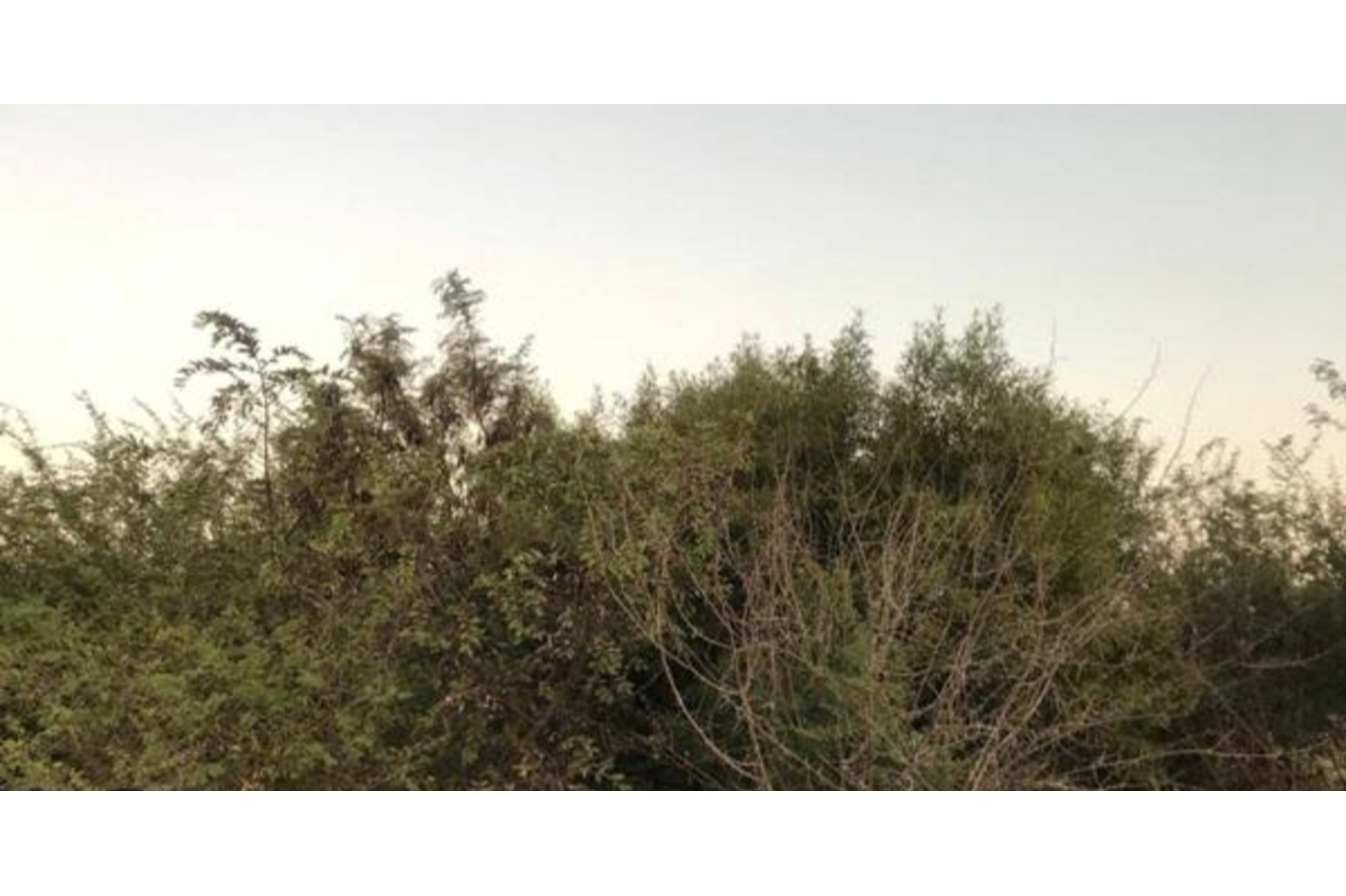 Vacant Land for sale in Seasons Lifestyle Estate, Hartbeespoort, North West, 1019 m²