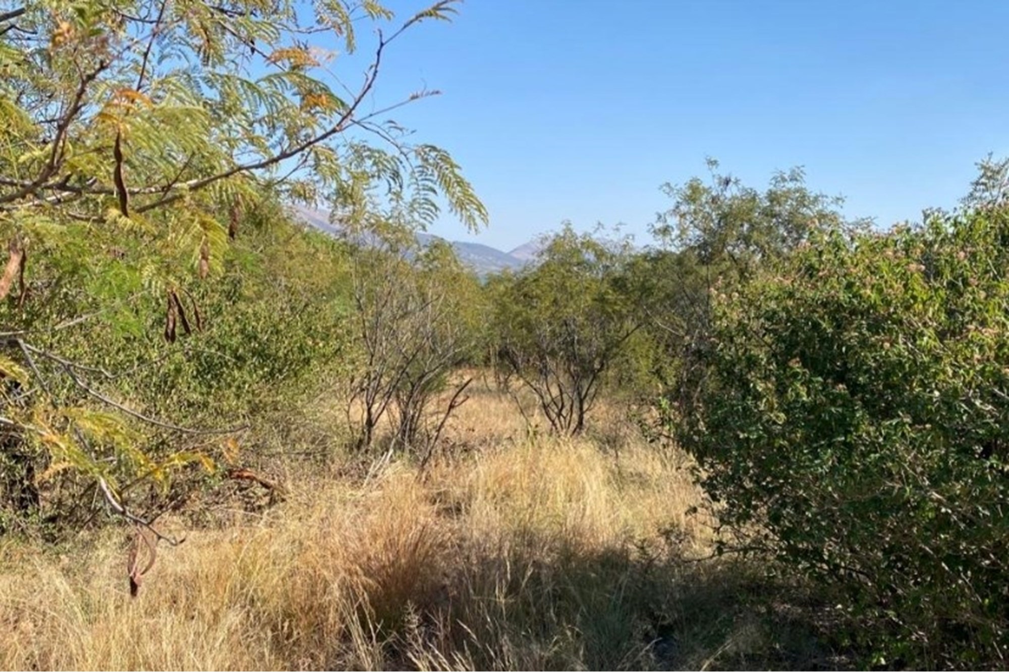 Vacant Land for sale in Seasons Lifestyle Estate, Hartbeespoort, North West, 1019 m²