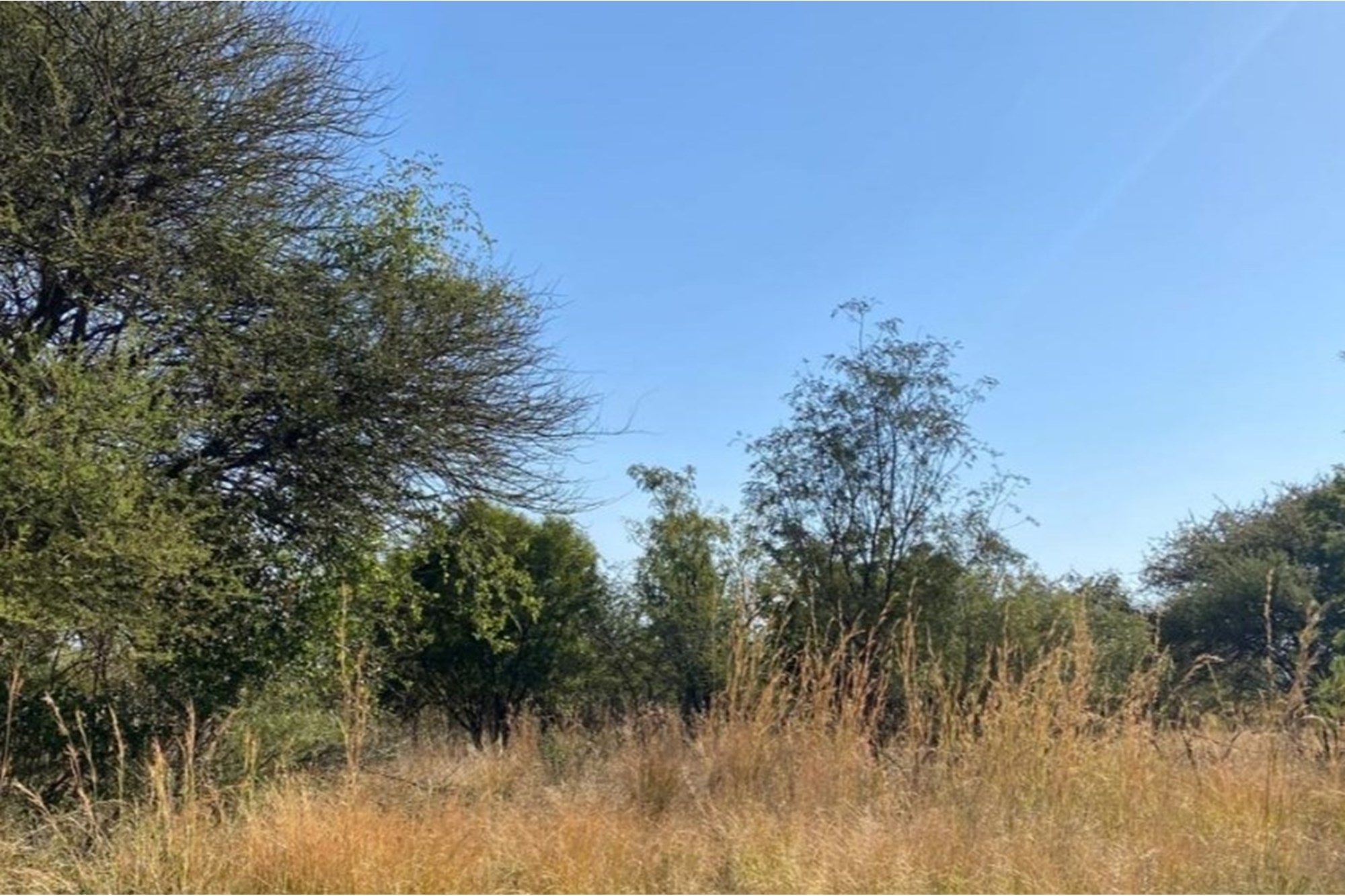 Vacant Land for sale in Seasons Lifestyle Estate, Hartbeespoort, North West, 1019 m²