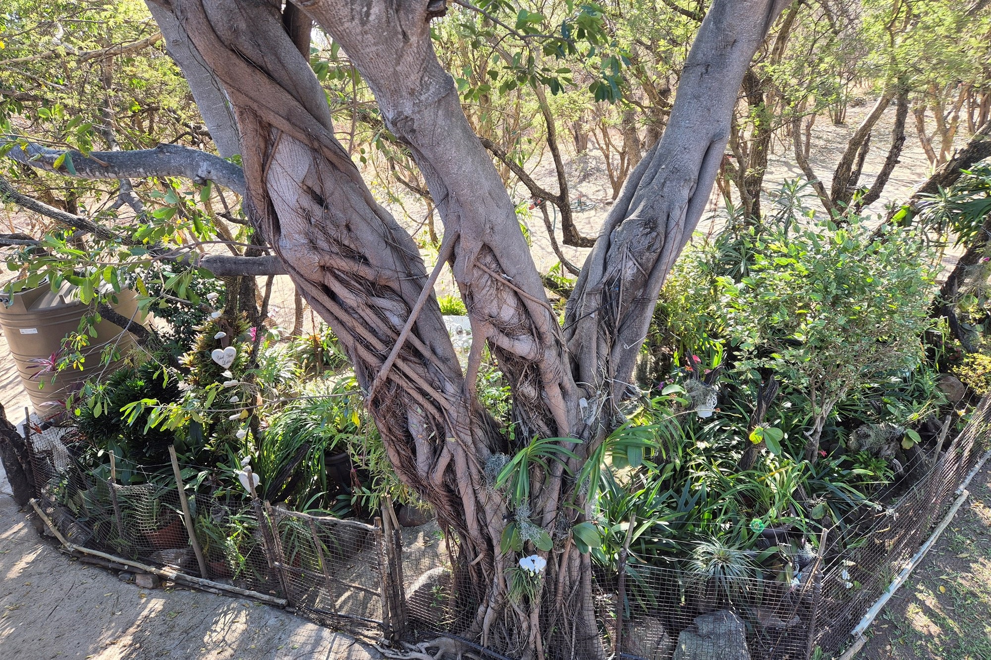 House for sale in Blyde River Botanical Reserve, Hoedspruit