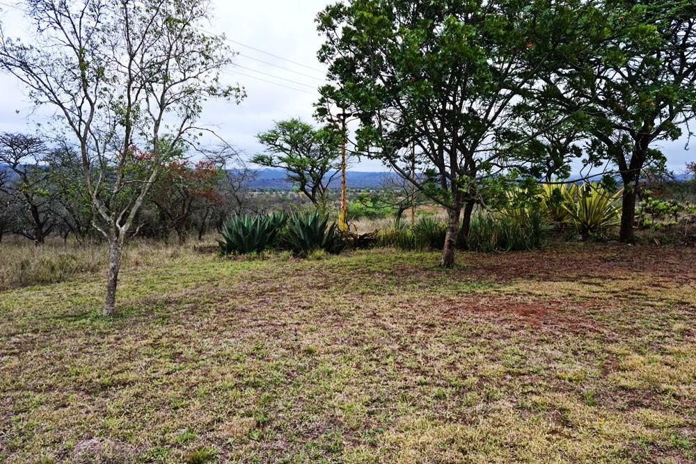 Farm for sale in Louis Trichardt