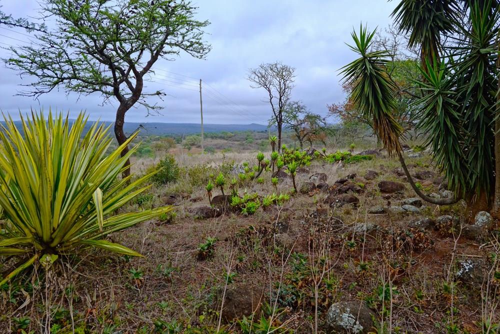 Farm for sale in Louis Trichardt