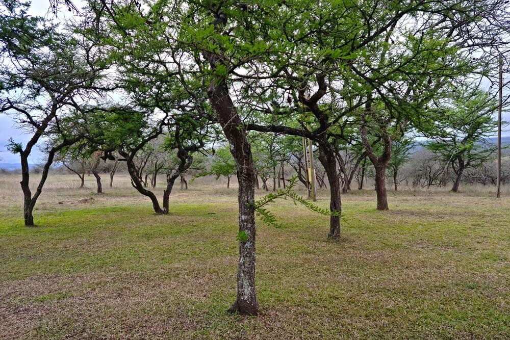 Farm for sale in Louis Trichardt