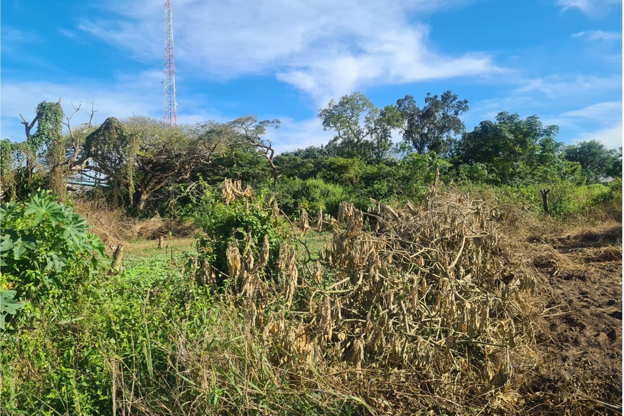 Vacant Land for sale in Kwambonambi, KwaZulu Natal, 20234 m²