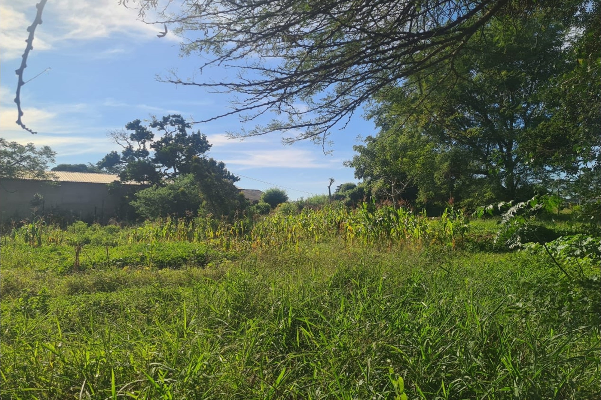 Vacant Land for sale in Kwambonambi, KwaZulu Natal, 20234 m²