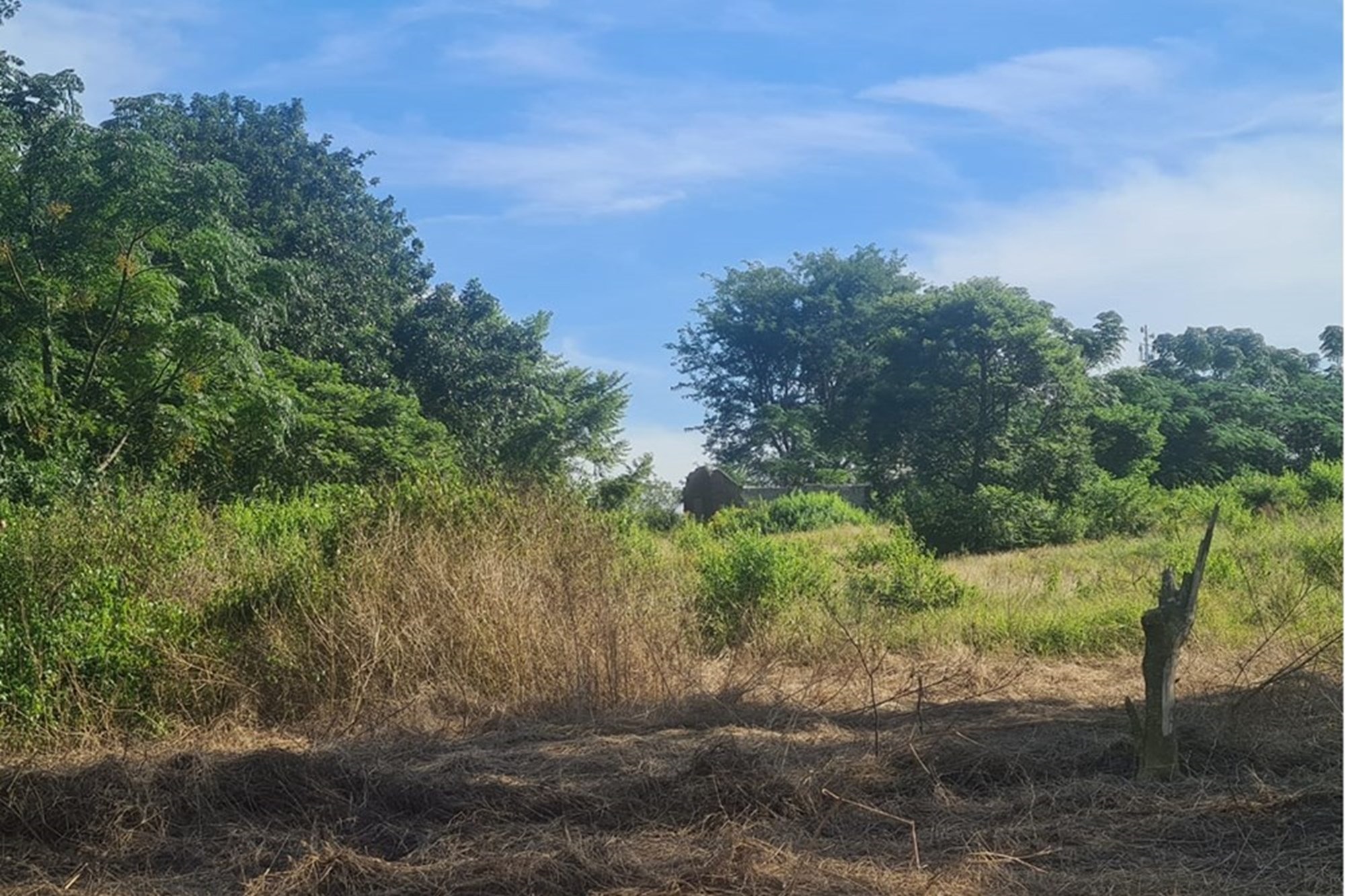 Vacant Land for sale in Kwambonambi, KwaZulu Natal, 20234 m²