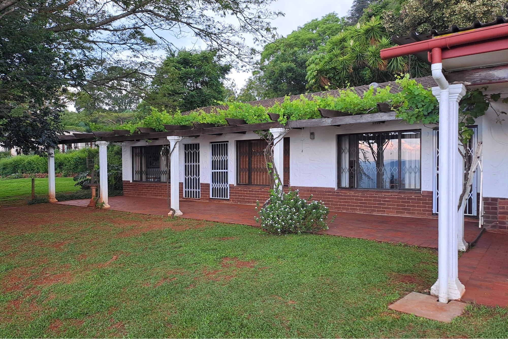 A Once in a Lifetime Investment Opportunity... 3