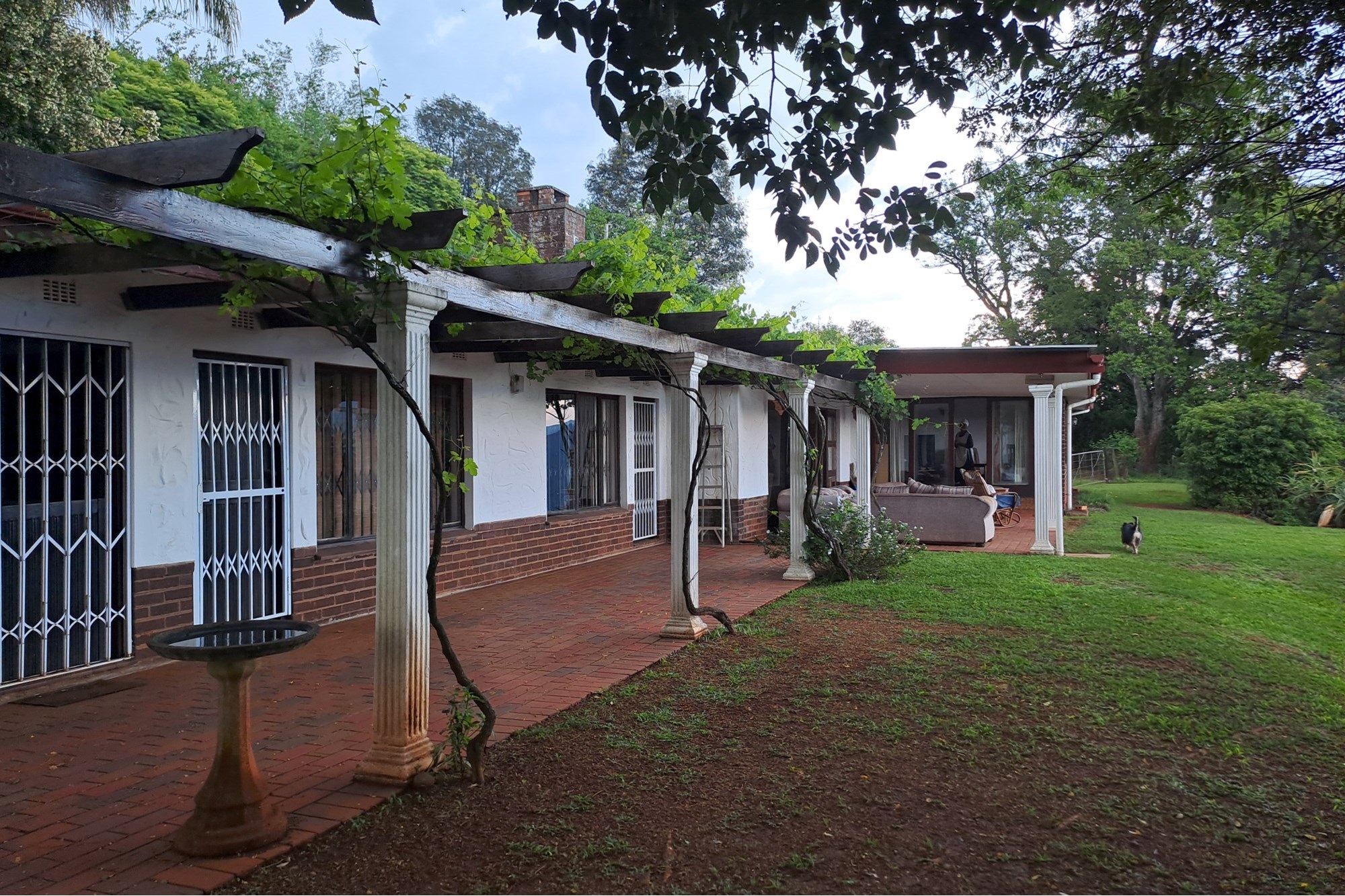 A Once in a Lifetime Investment Opportunity... 4
