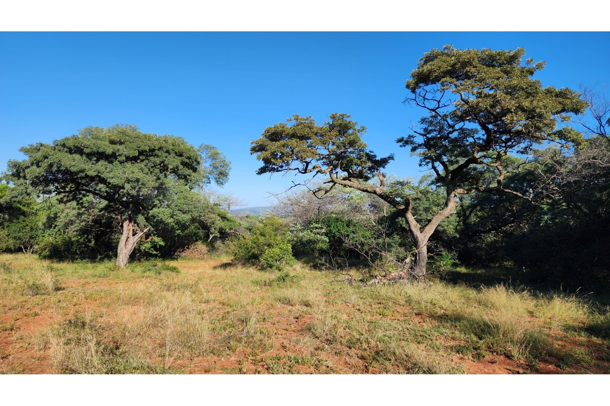 Vacant Land for sale in Intaba-Indle Wilderness Estate, Bela Bela, 32500 m²
