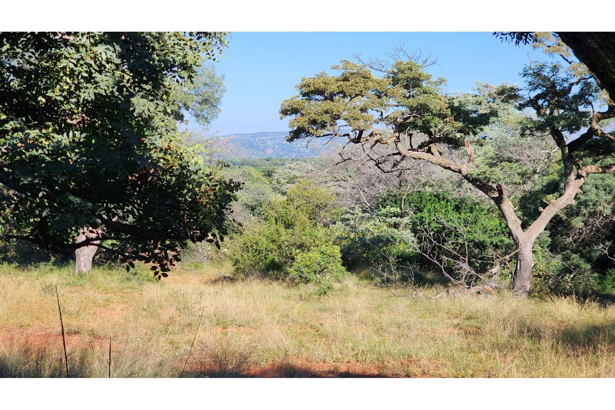 Vacant Land for sale in Intaba-Indle Wilderness Estate, Bela Bela, 32500 m²