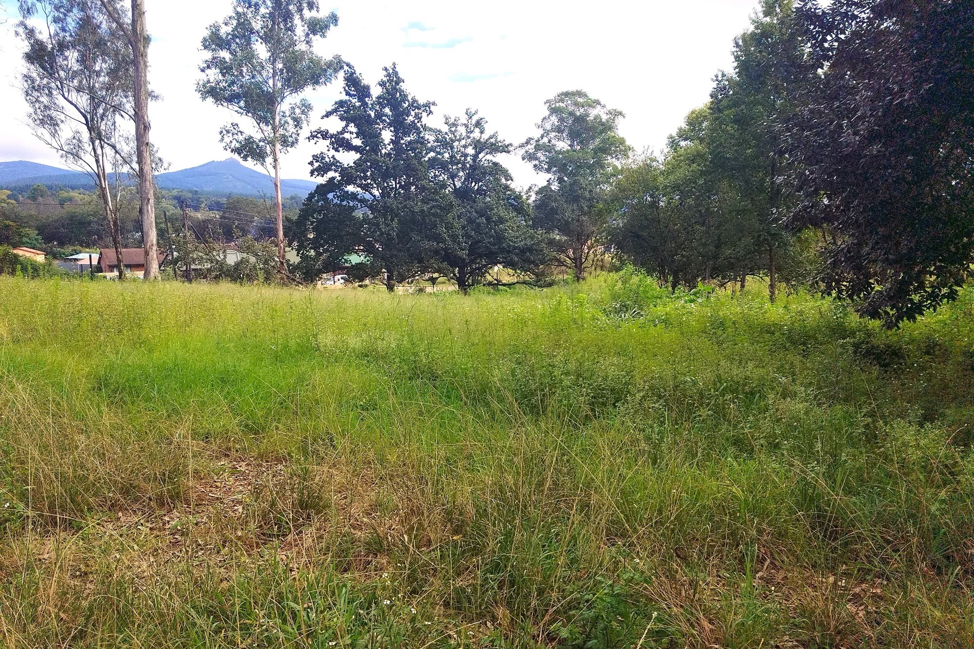 Vacant Land for sale in Sabie, 37800 m²