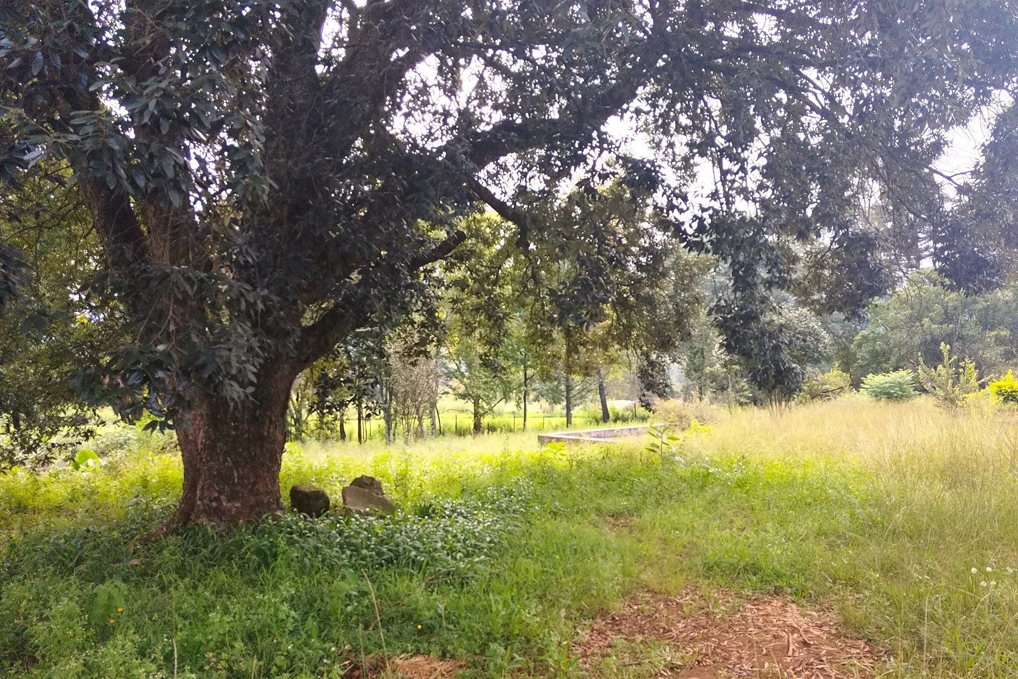 Vacant Land for sale in Sabie, 37800 m²