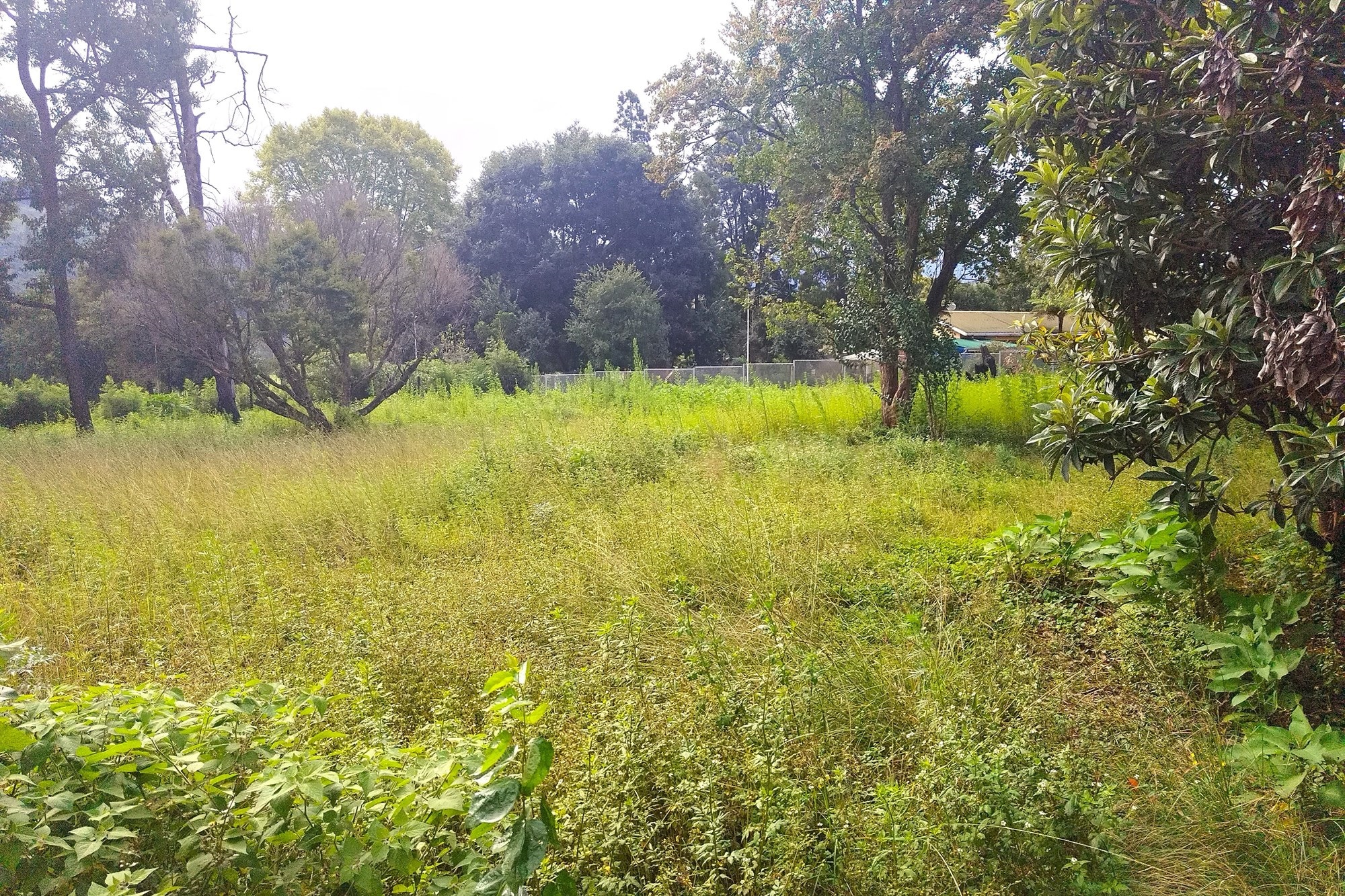 Vacant Land for sale in Sabie, 37800 m²