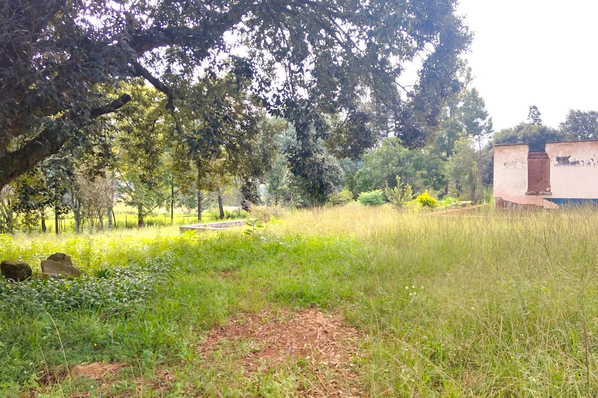 Vacant Land for sale in Sabie, 37800 m²