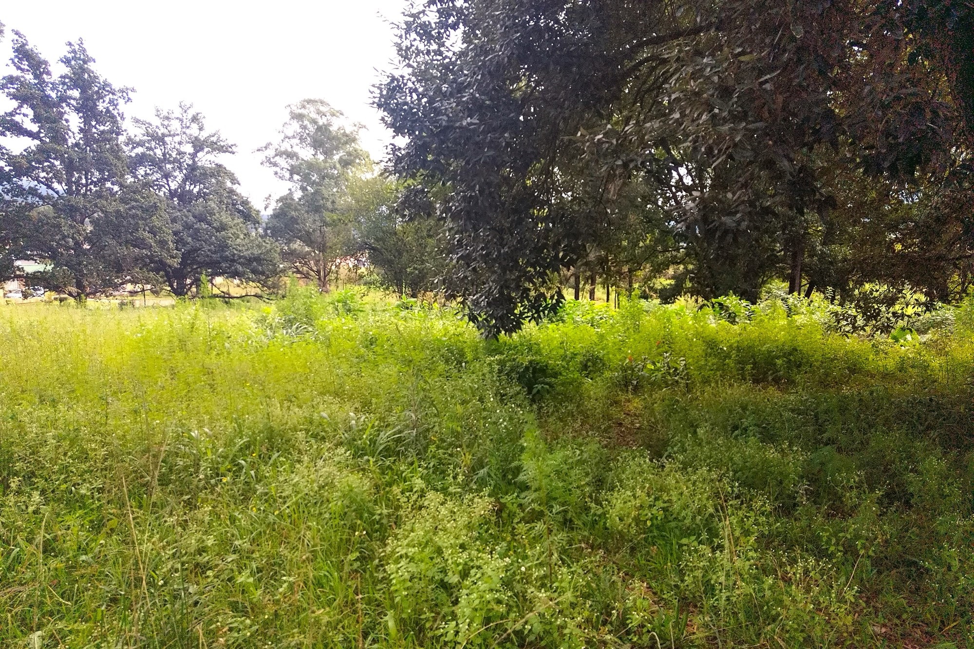 Vacant Land for sale in Sabie, 37800 m²