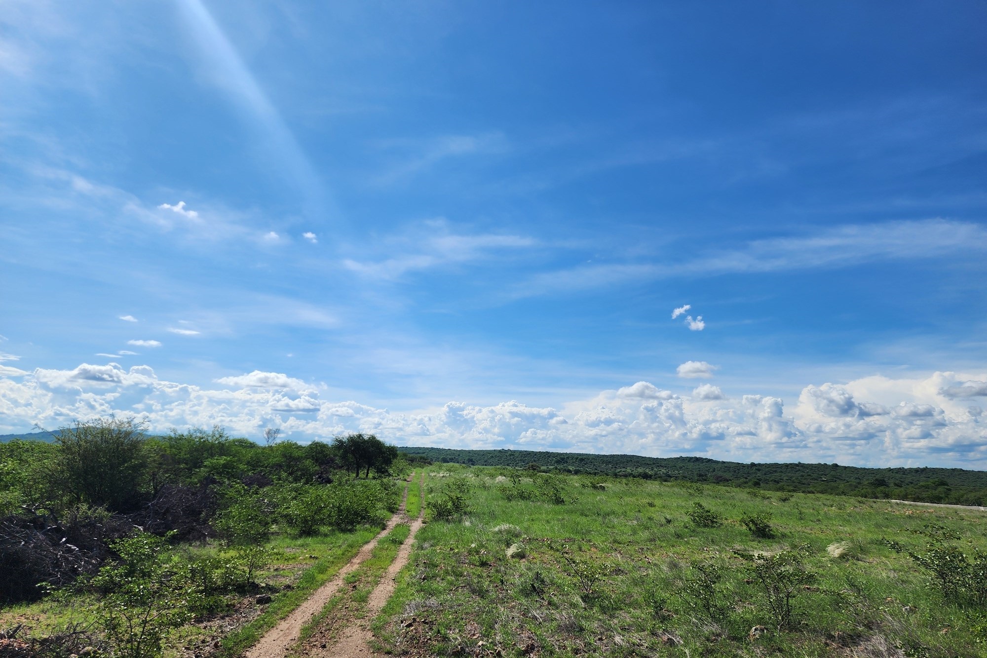 Farm for sale in Mopane, Musina